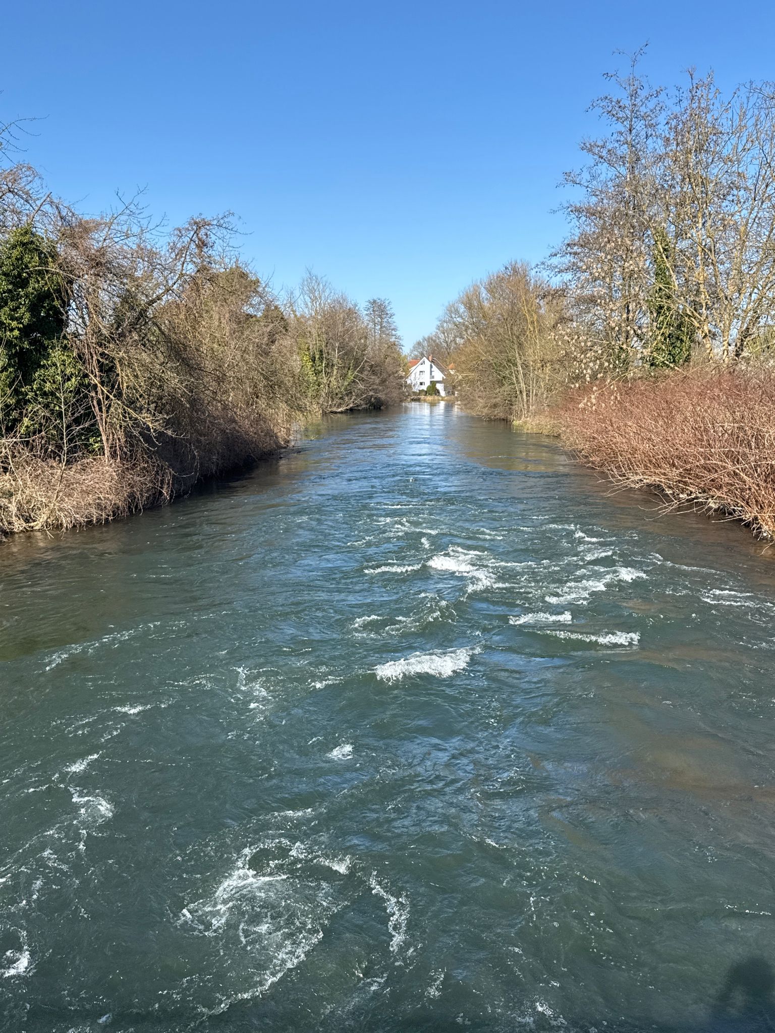 Am bras de l'Ill