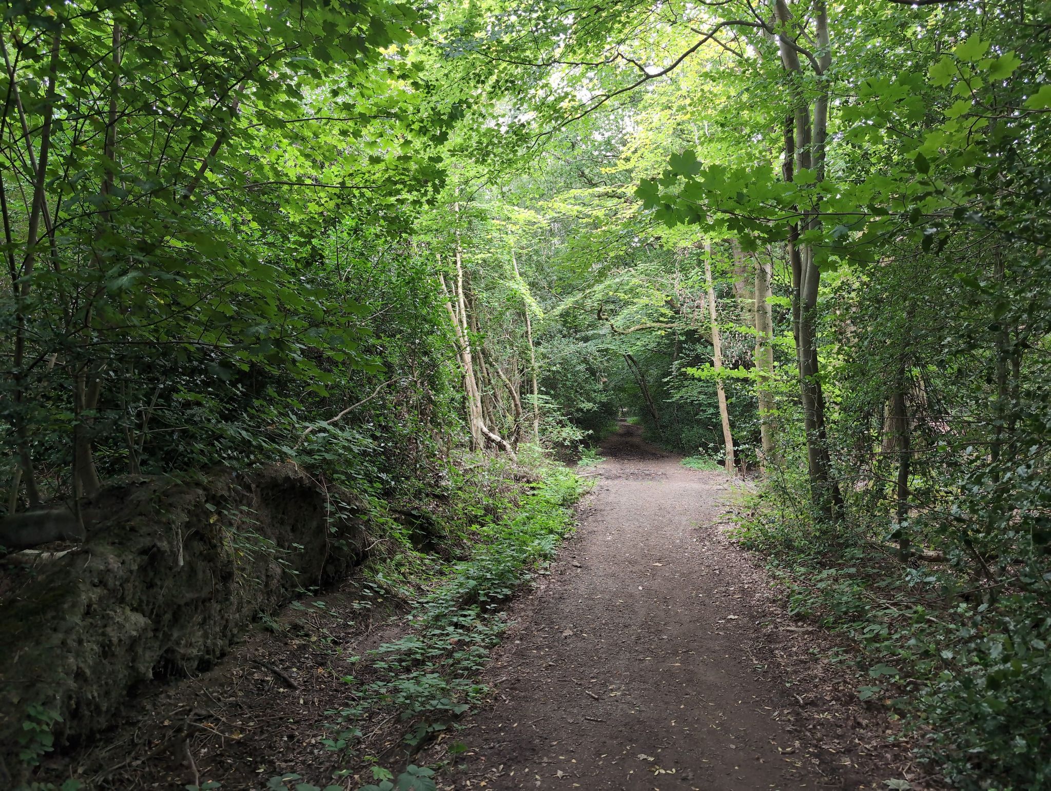 Bridal Path