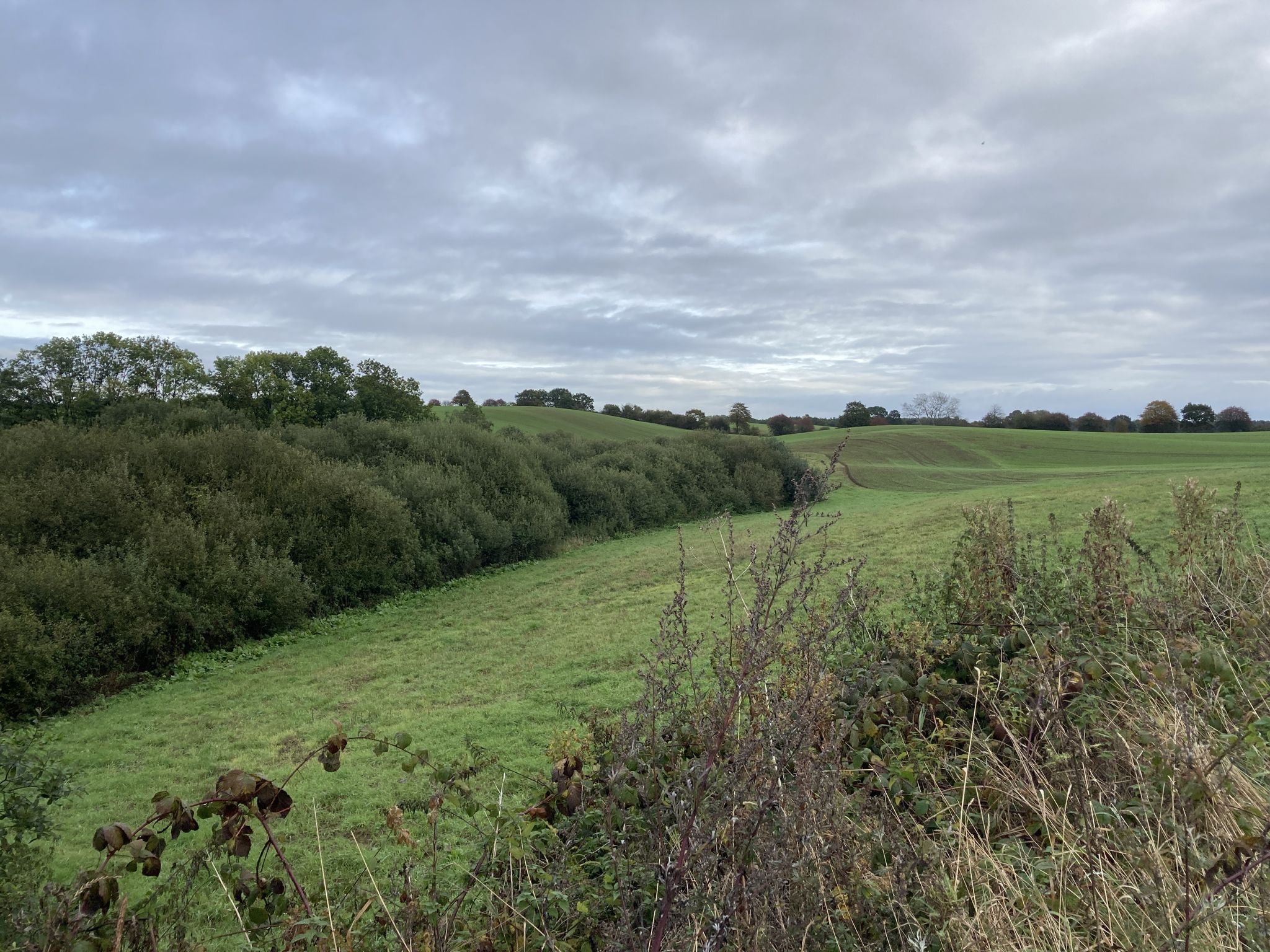 Landschaftsbild Schwansen