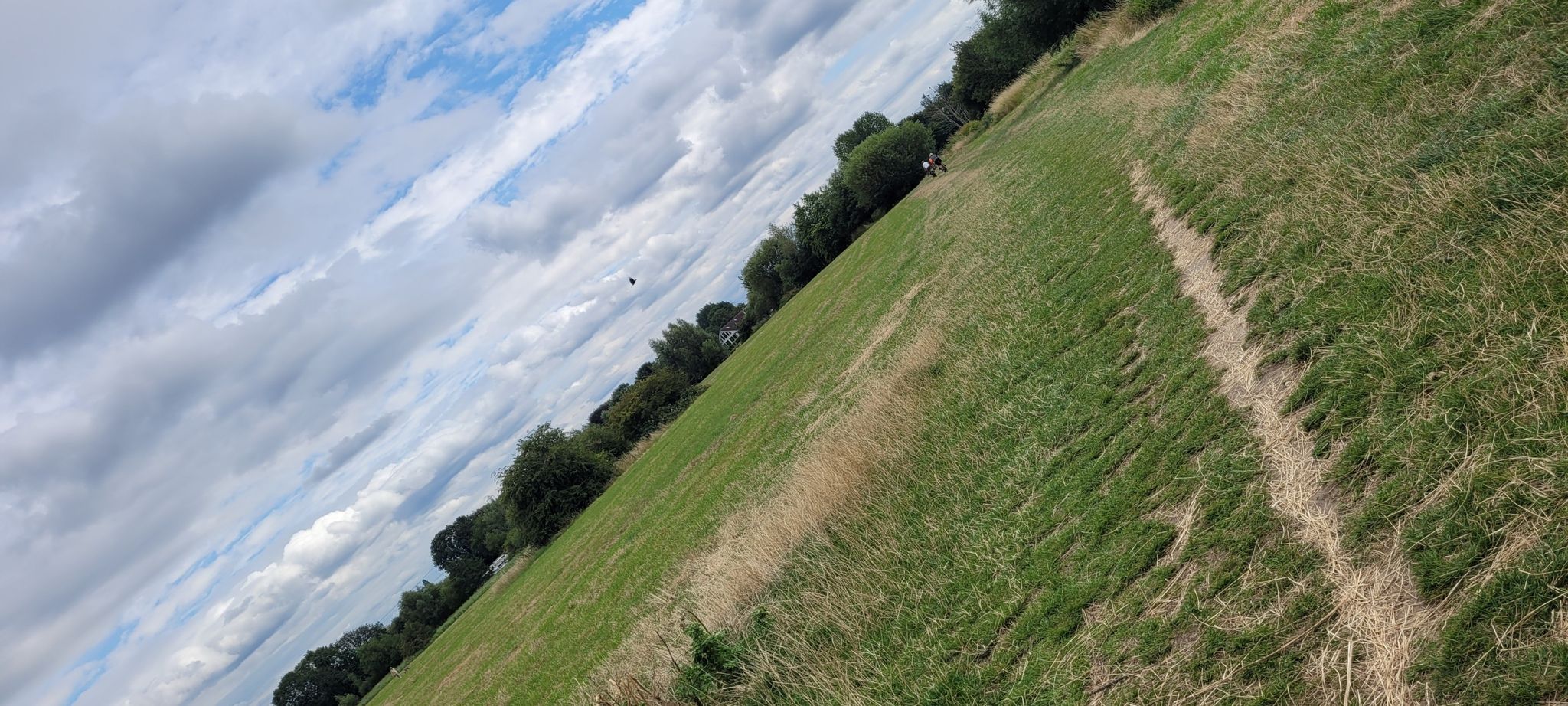 Thames Path Dumsey Meadows