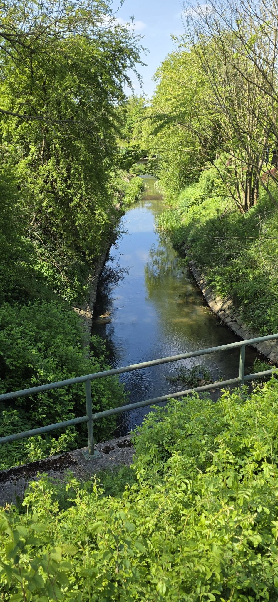 Treene Mühlenbrück