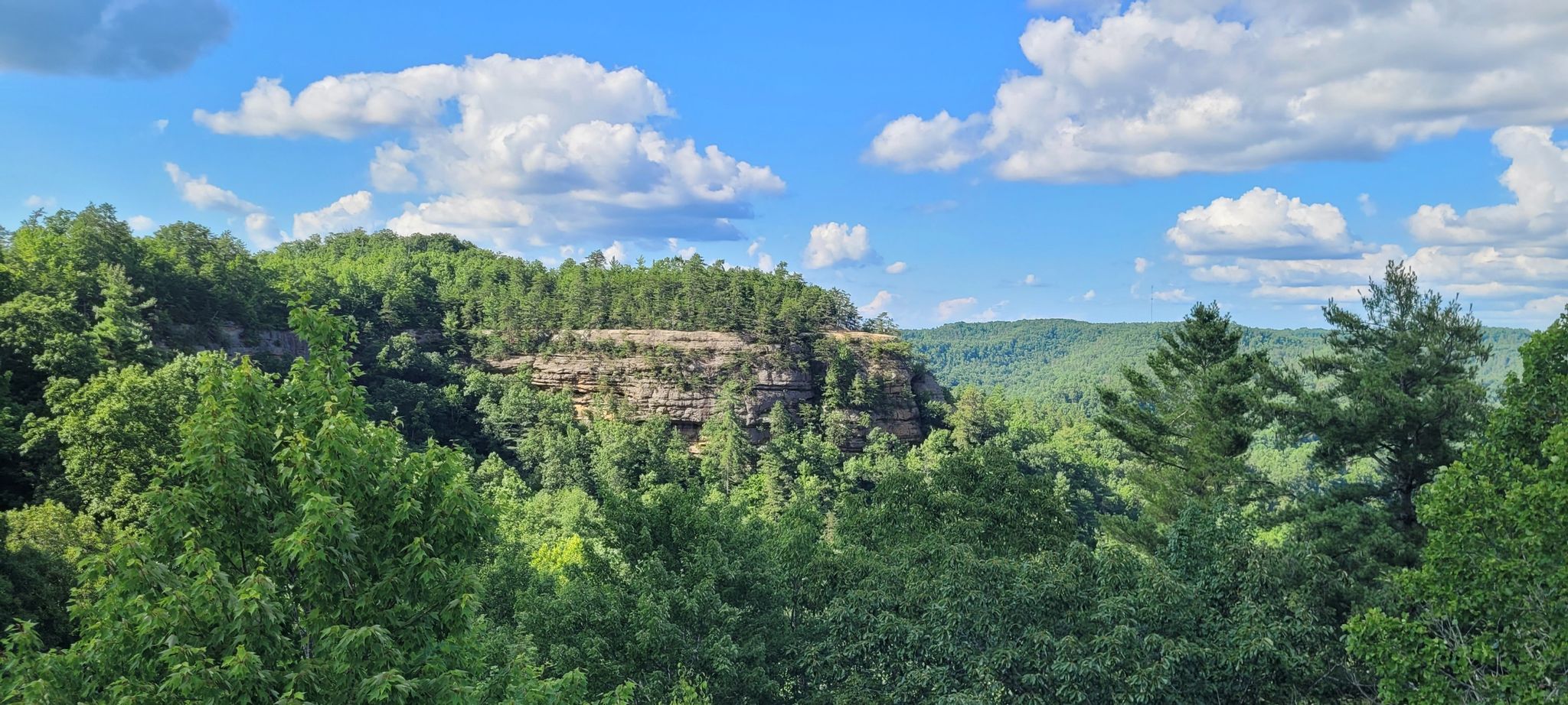 Panoramic view of lush green forested hills and a prominent rock cliff under a blue sky. - Battleship Rock and Rock Garden Trail Loop