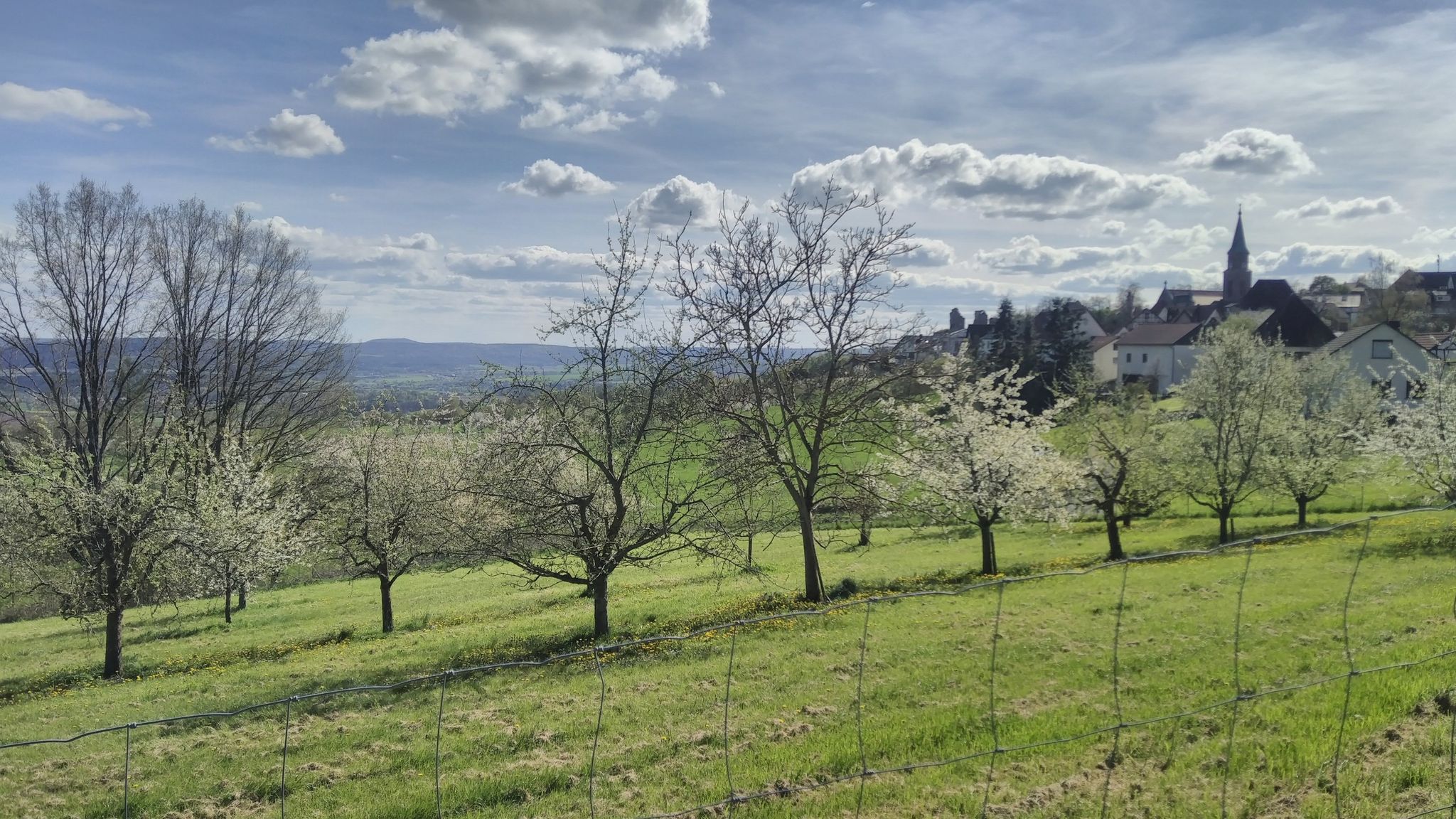 Zurück in Altenstein