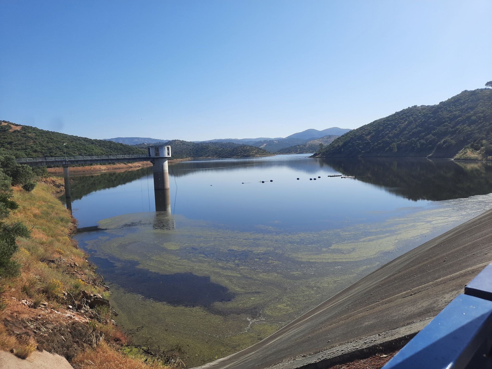 Presa