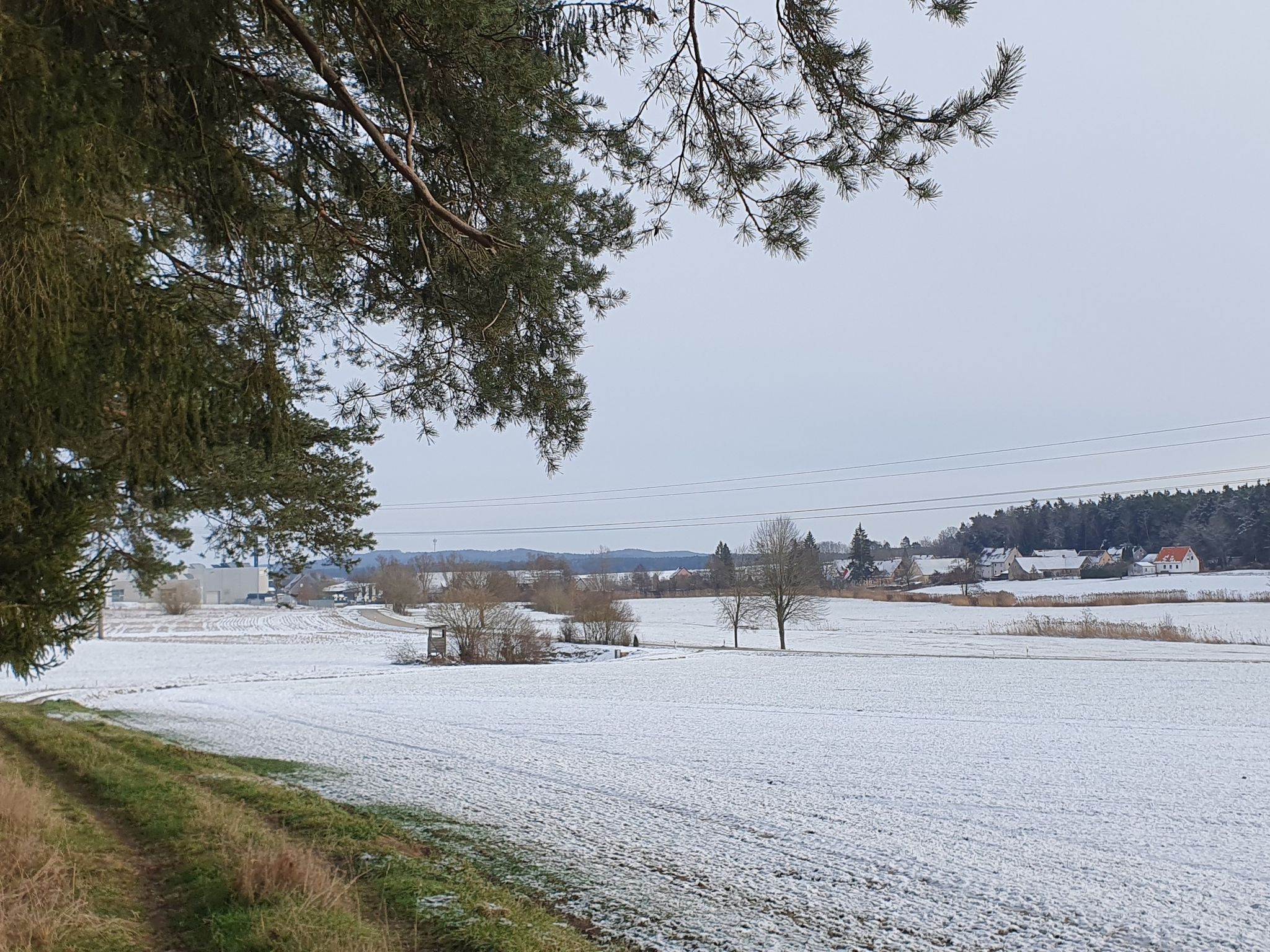 Wiesethtal