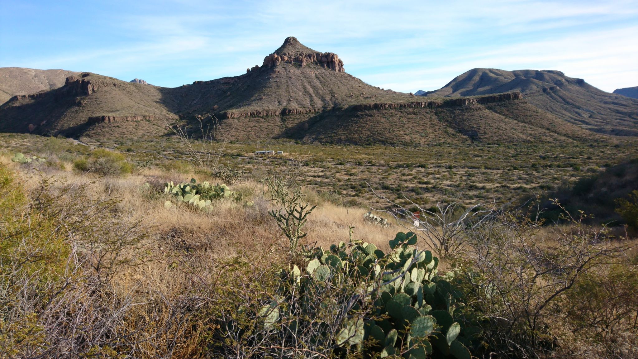 Arid desert landscape with a prominent peak and sparse vegetation under blue sky. - Ross Maxwell Scenic Drive