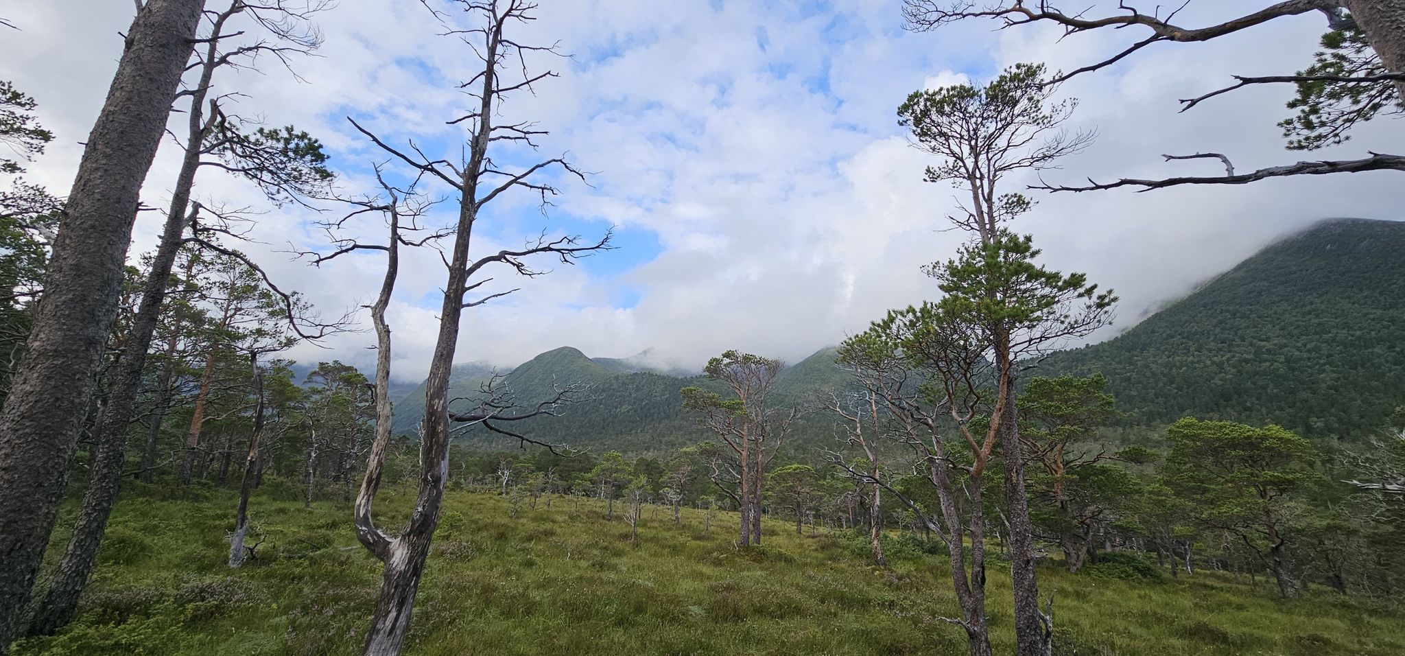 Die Gipfel hüllen sich noch in Wolken