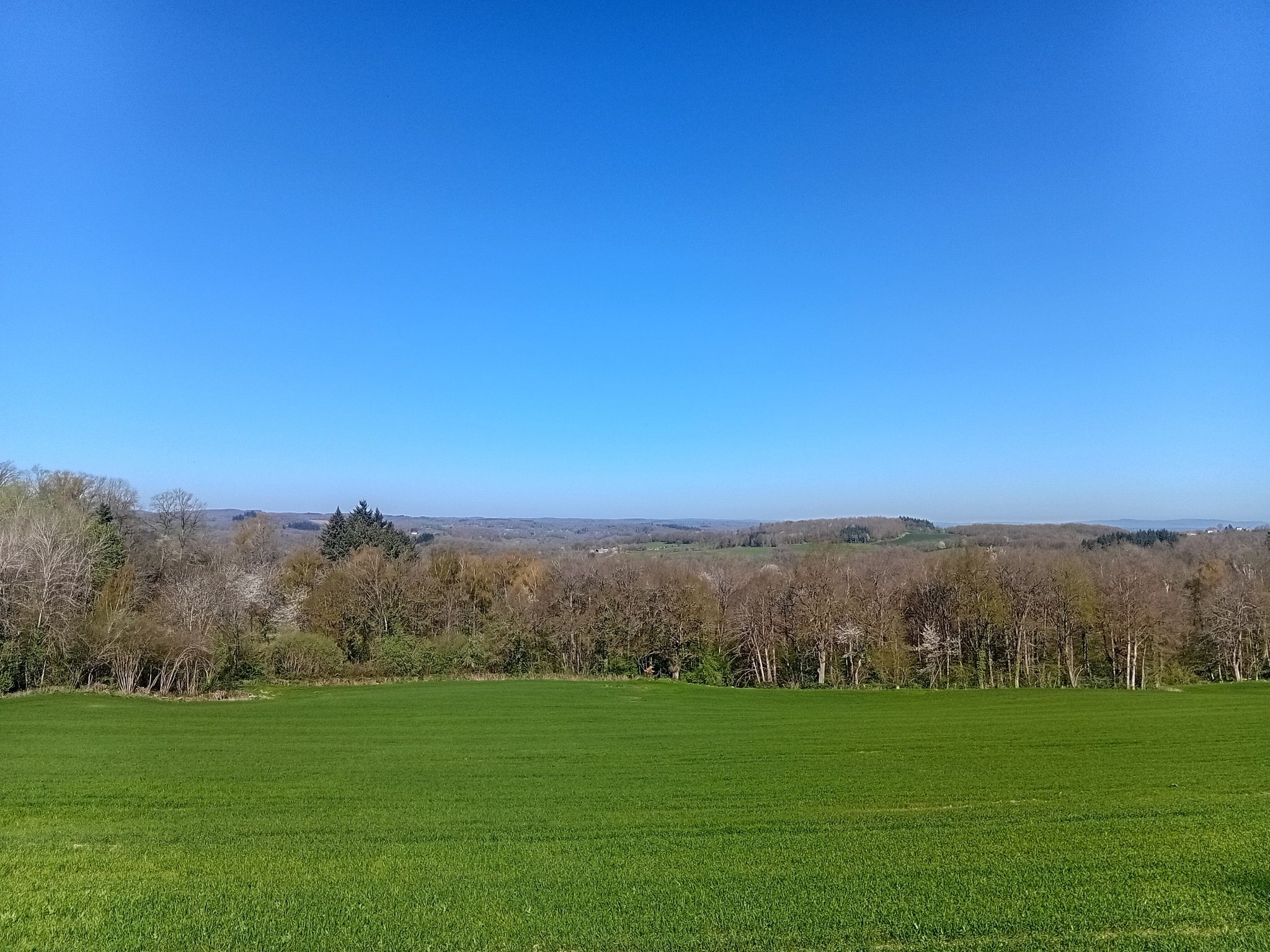 point de vue
