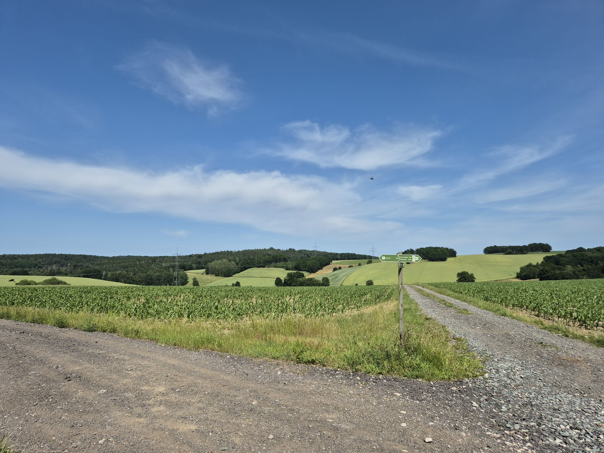 Blick zu den Ausläufern des Tharandter Waldes