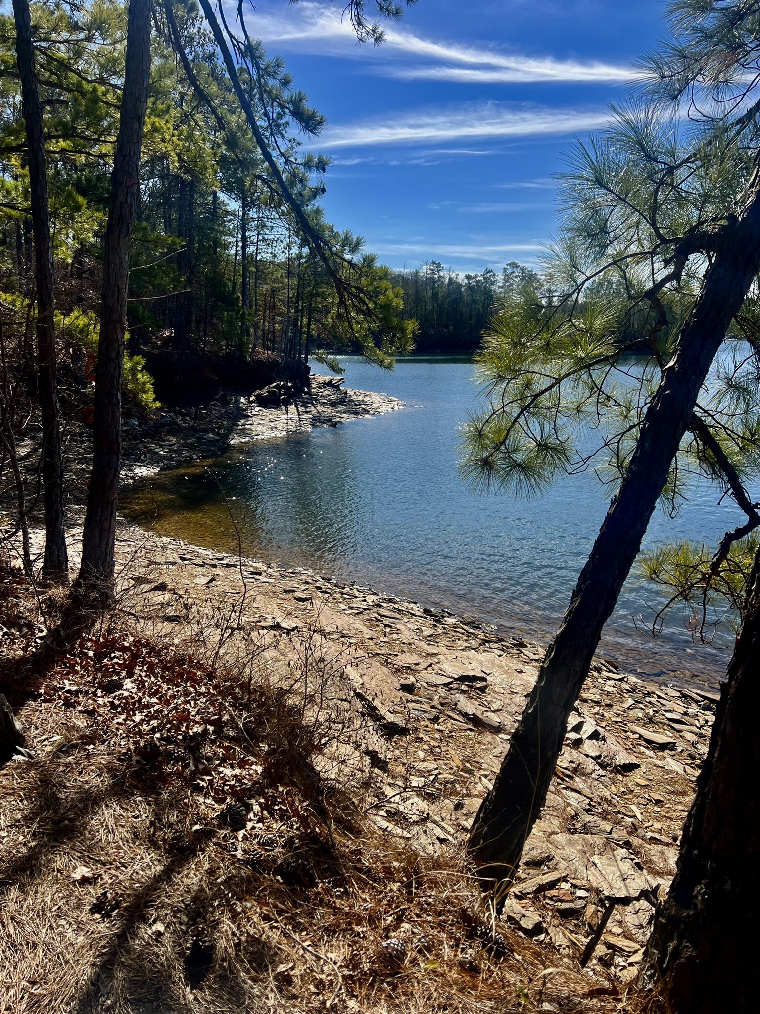 Sunny lake shore with pine trees, rocky bank, and clear blue water. - Cherokee Ridge Alpine Trail