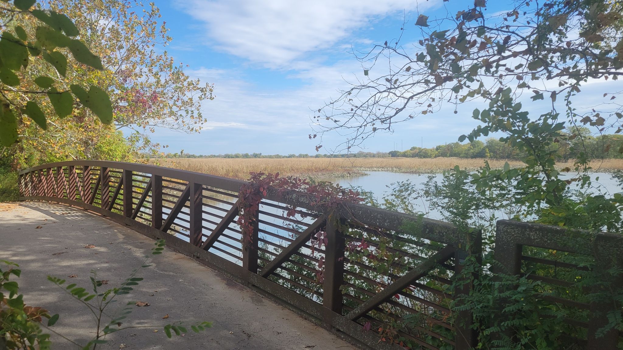 A curved metal bridge spans over water with reeds and trees. - Tinicum Park loop from Ridley Park