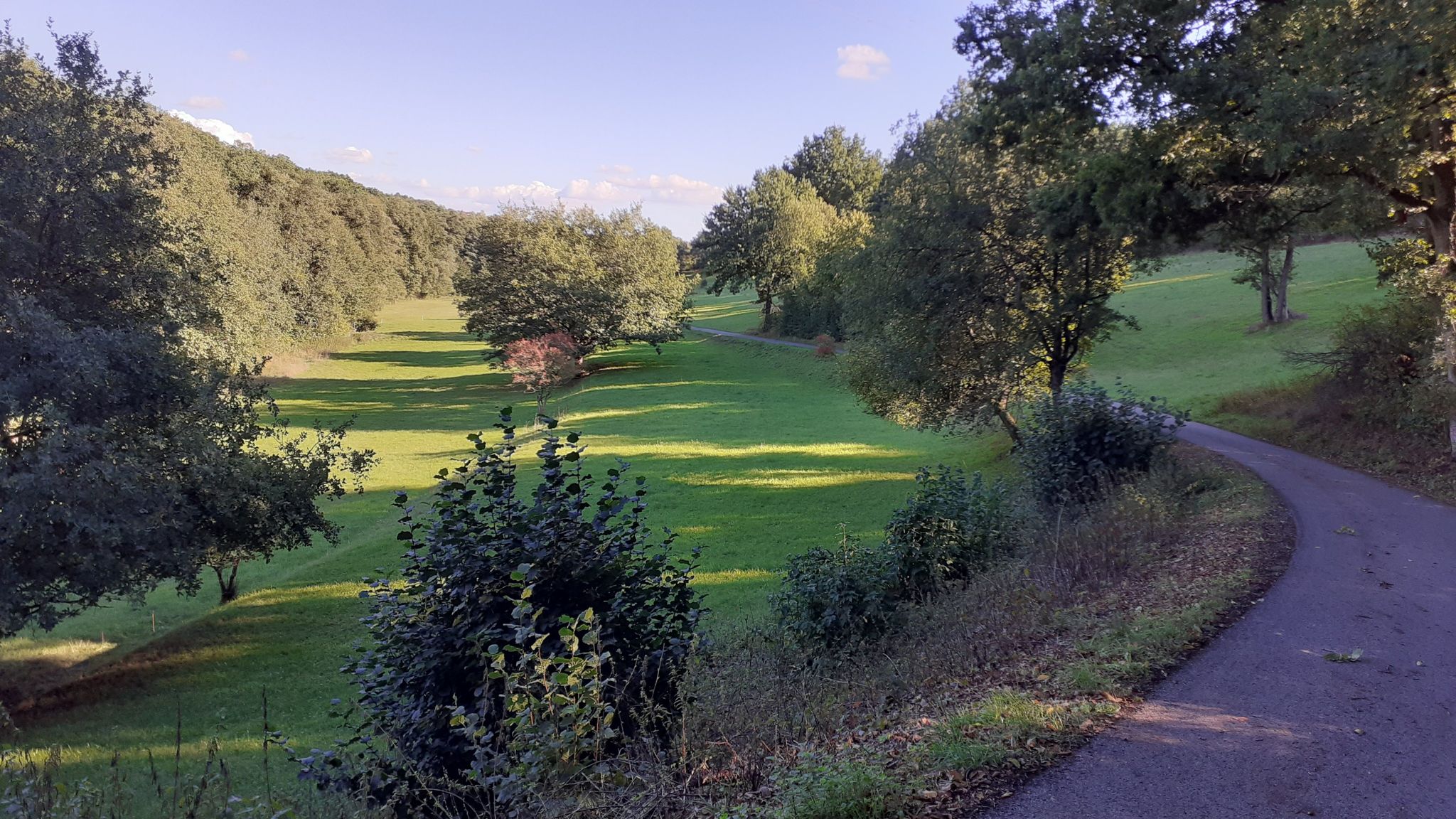 Im Karbachtal