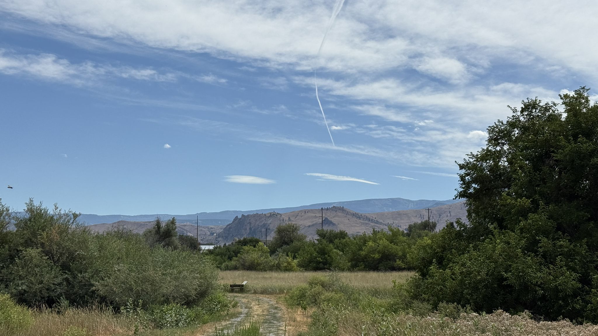 A dirt path through a grassy field with distant mountains under a bright sky. - Walla Walla Point Park loop from Wenatchee Confluence State Park