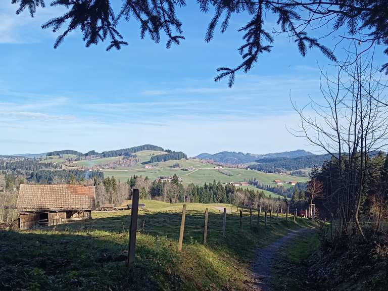 sonnige-panorama-tour-bei-weiler-im-allg-u-wanderung-komoot