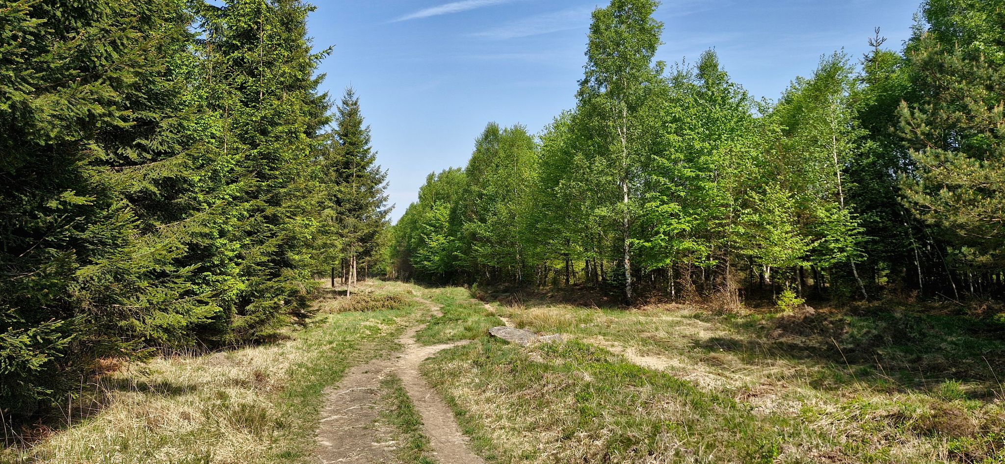 Kammweg