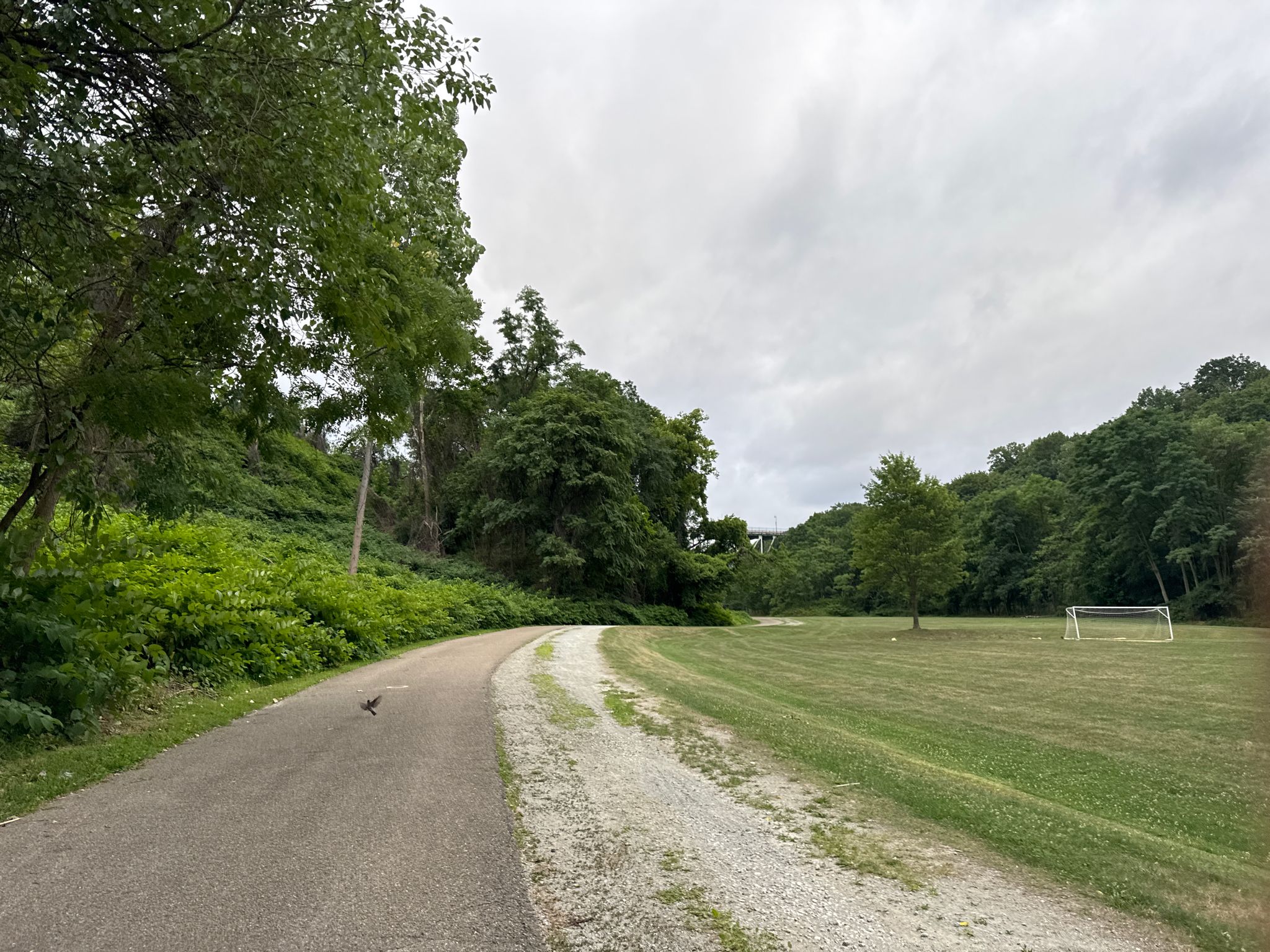 Paved path, gravel road, grassy field with a soccer goal, lush trees, cloudy sky. - Junction Hollow Trail