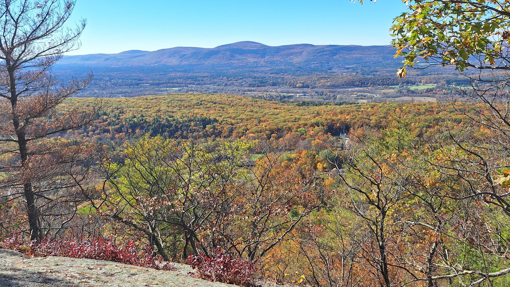 Panoramic view of vibrant autumn forest and distant mountains under a clear sky. - East Mountain via Appalachian Trail