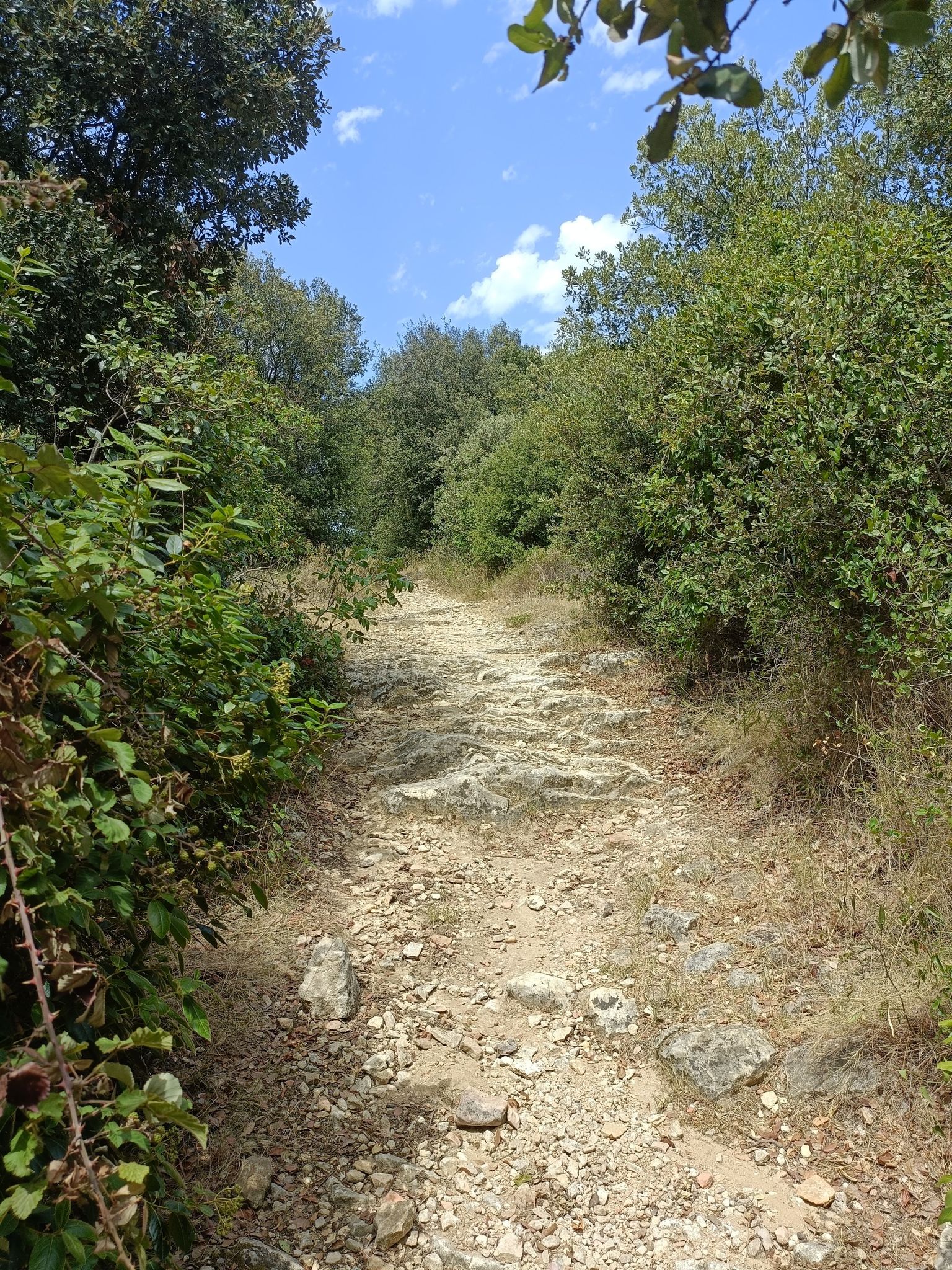 putain ça monte