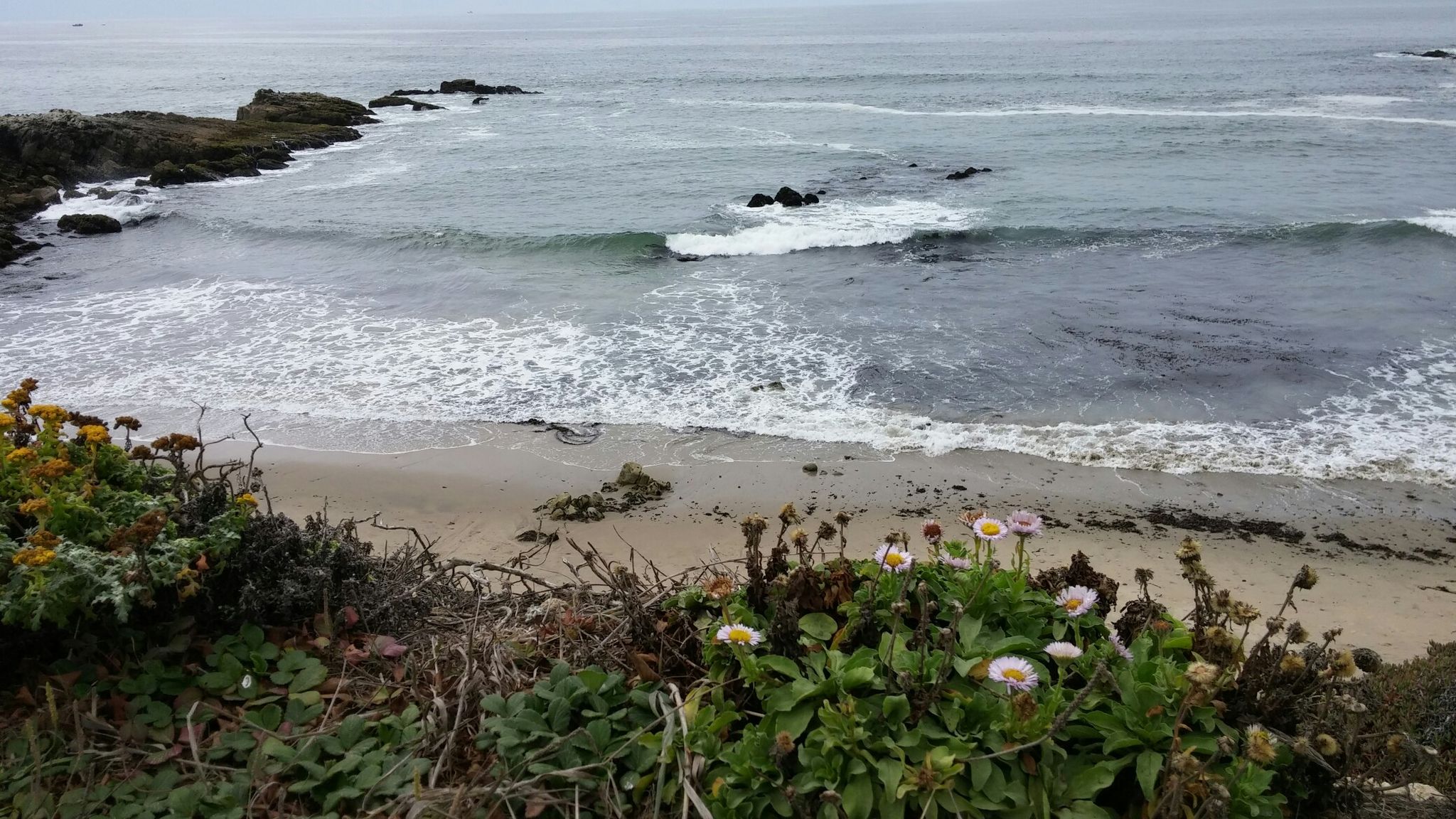 Beach at Pescadero