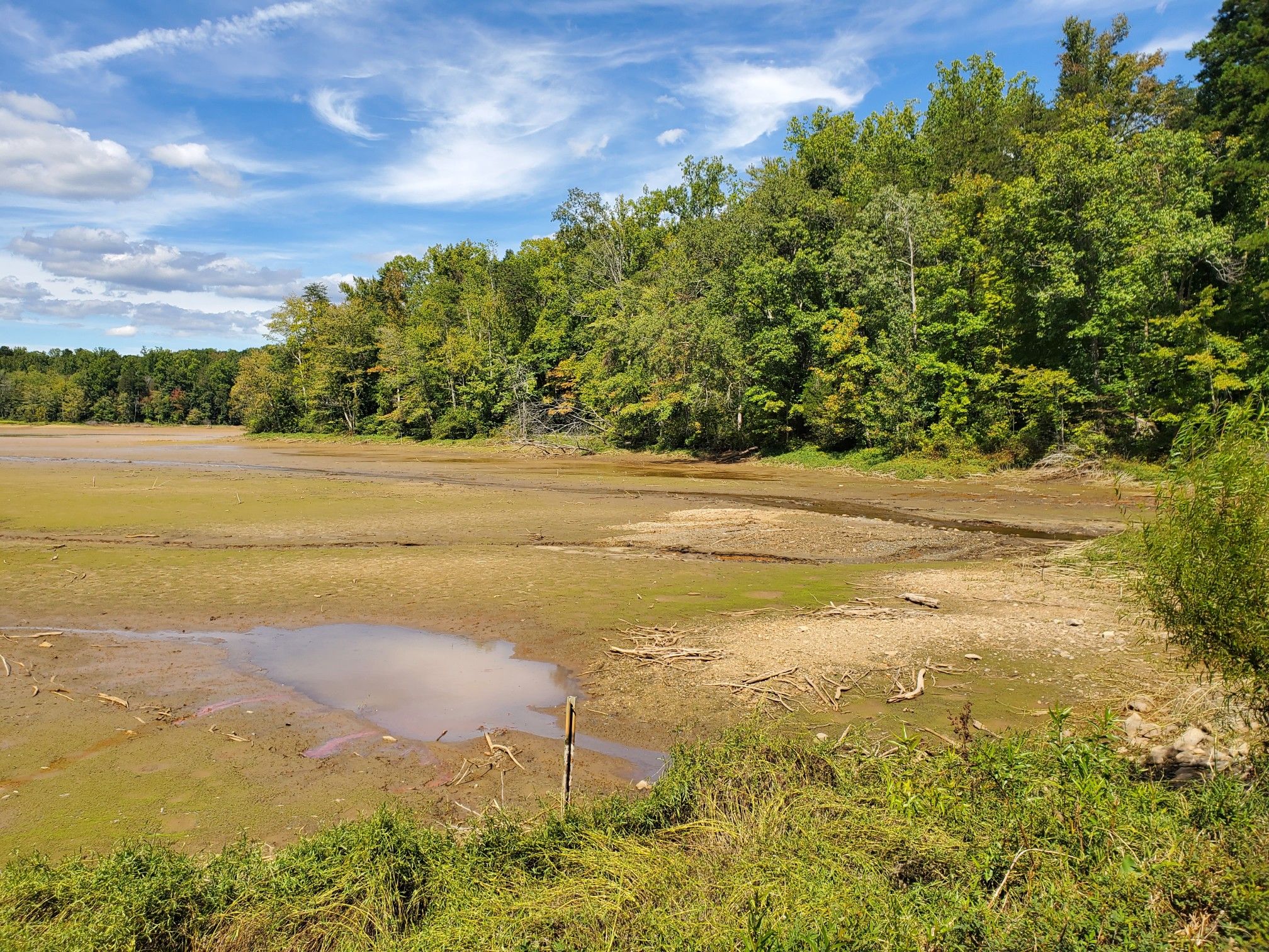 A dried lake bed with a small puddle under a bright, cloudy sky. - Salem Lake Trail