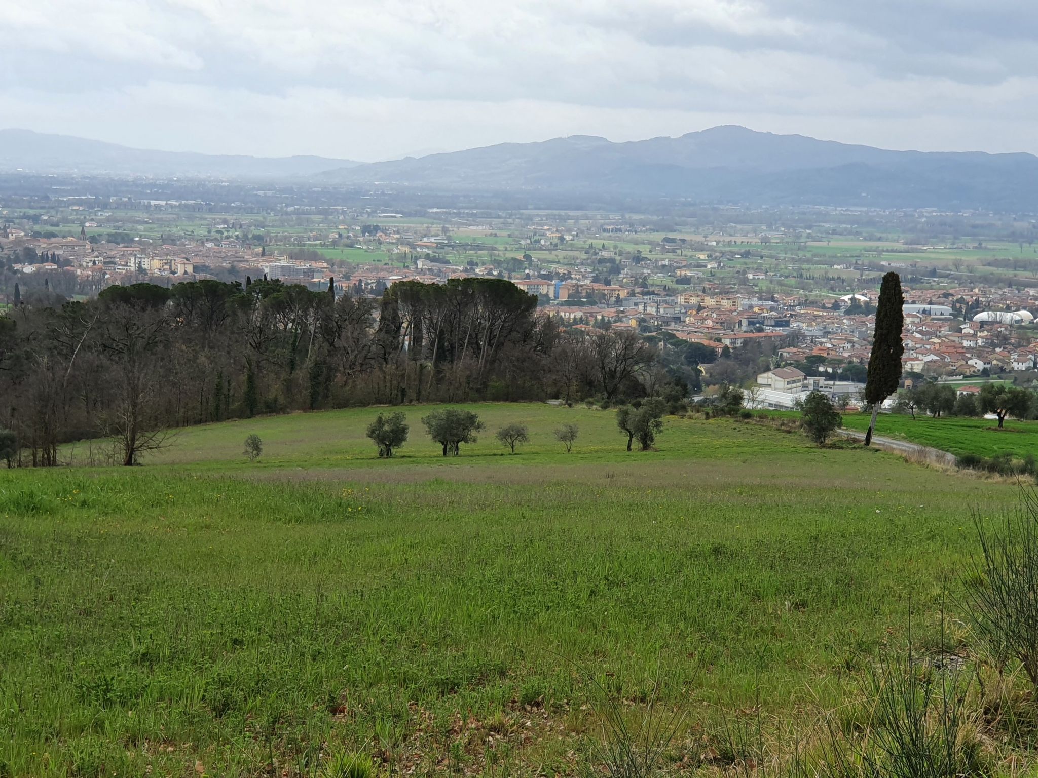 Sansopolcro