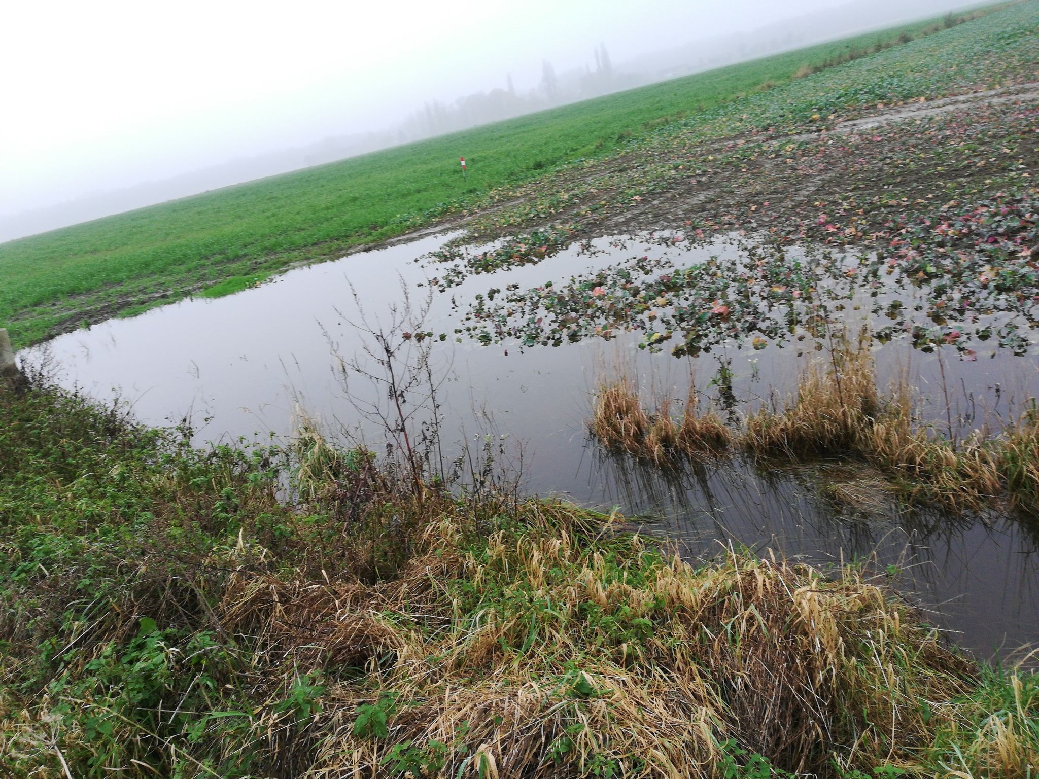 Encore beaucoup d eau