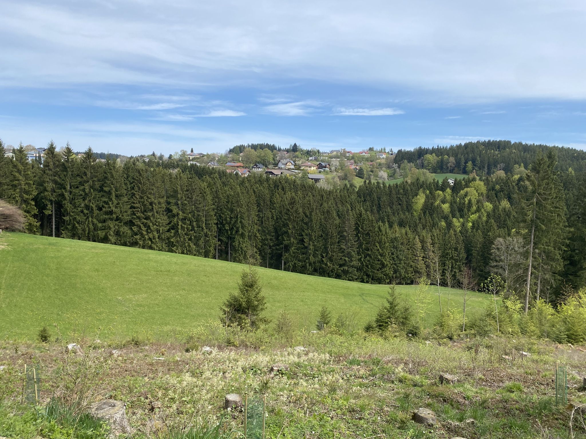 St. Georgen am Walde
