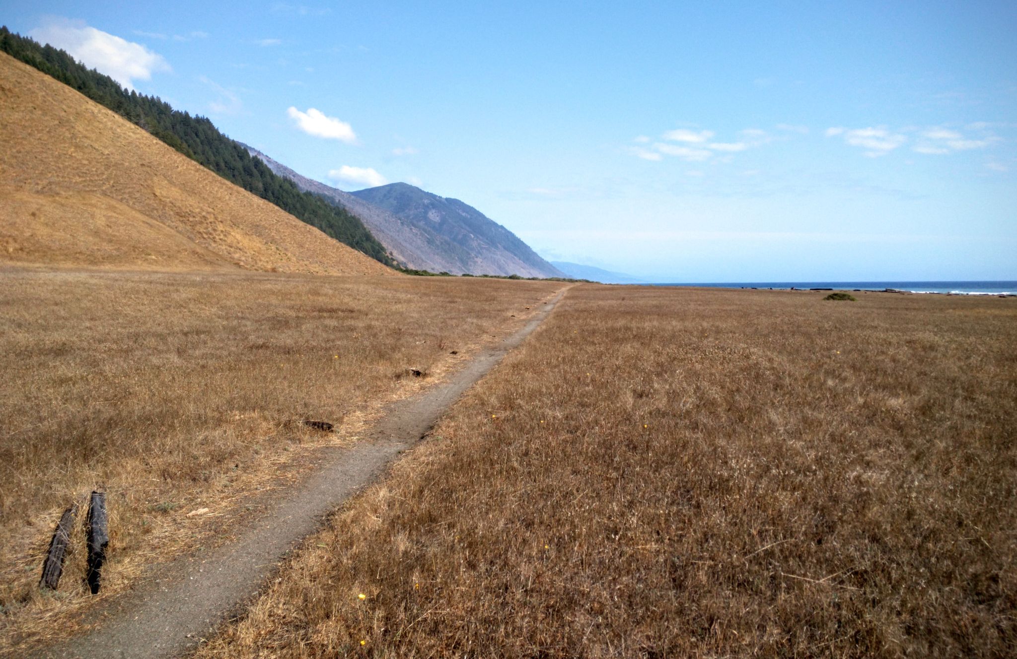 Straight dirt trail through dry golden grass, with mountains and ocean. - Punta Gorda Lighthouse – Cooksie Creek Delta loop from Gorda 2