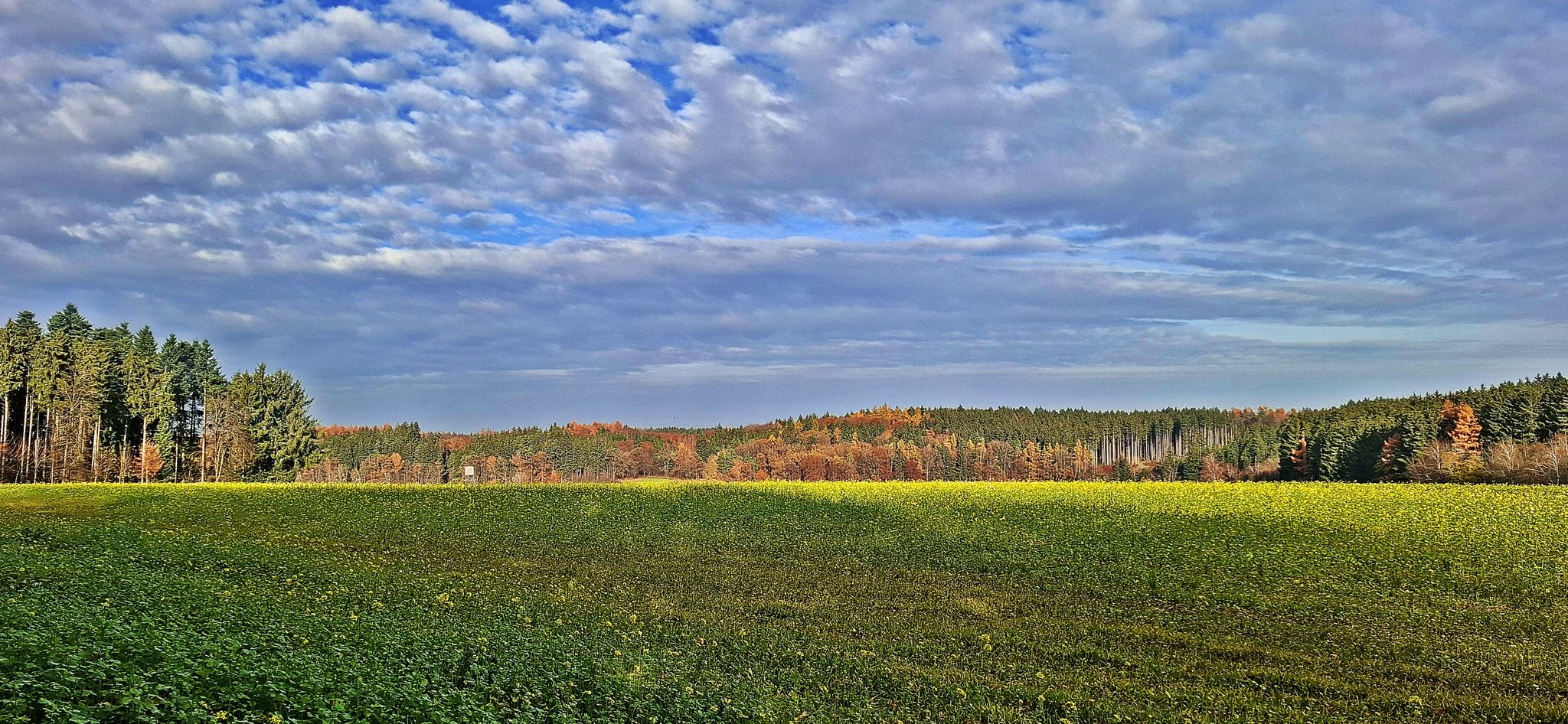 Herbstfarben immer noch toll