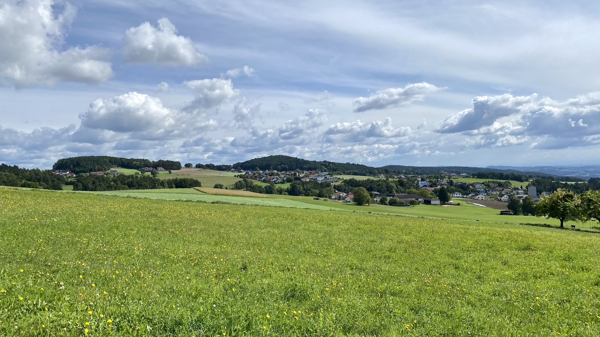 Pröselsdorf, Berbersdorf