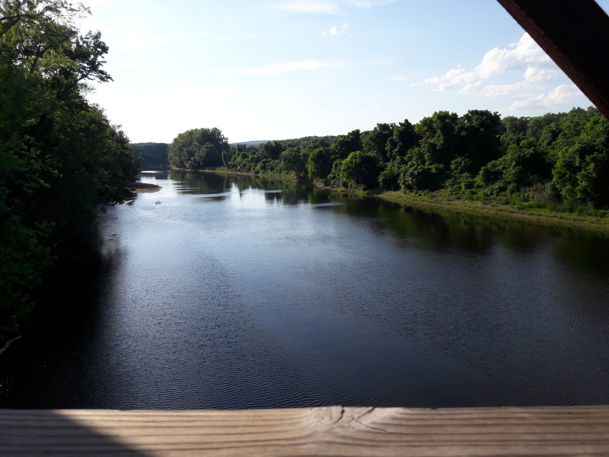 Wide river flanked by dense green forests under a bright blue sky. - Norwottuck Rail Trail Bridge – View of the Connecticut River loop from Northampton