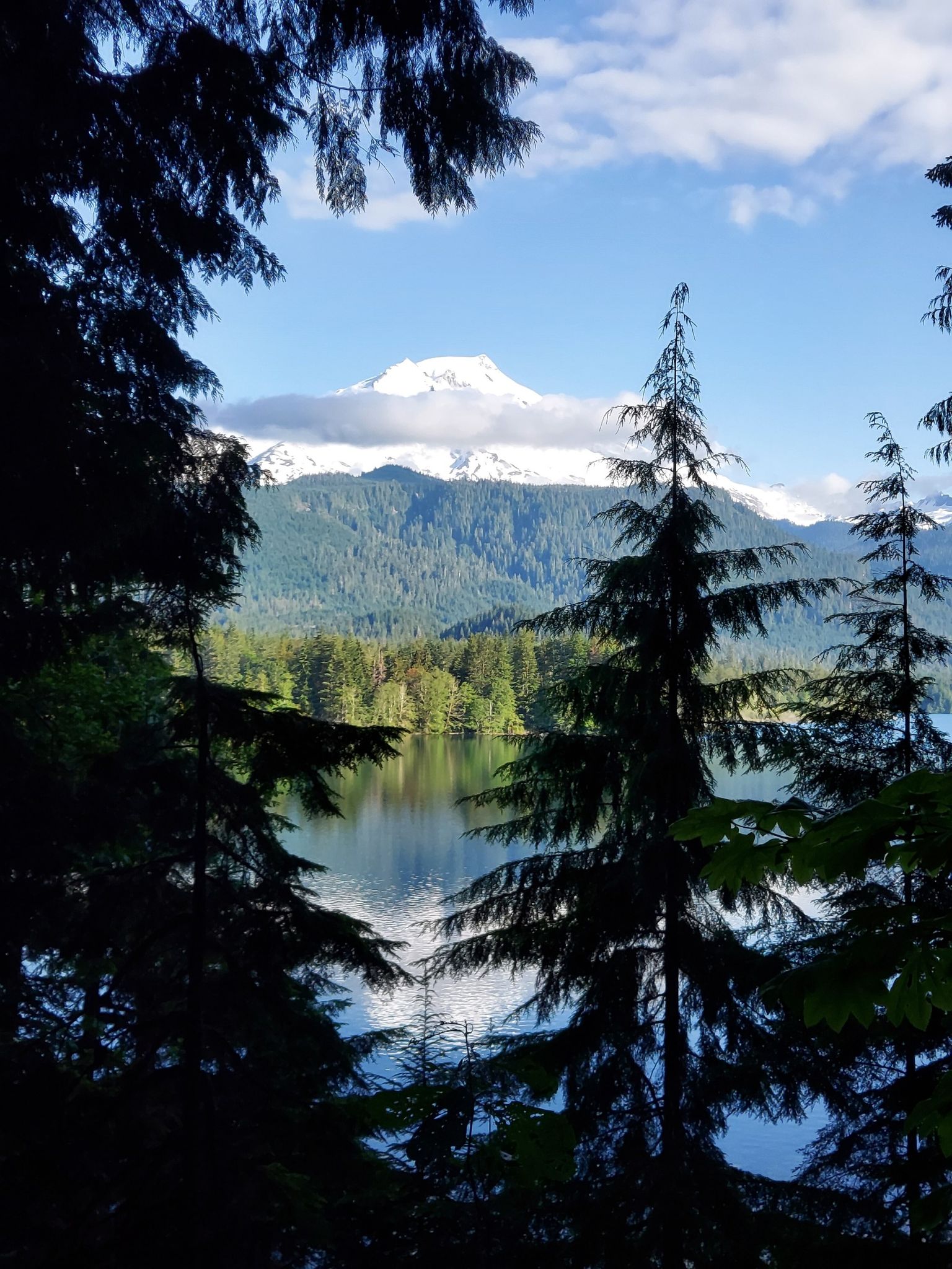 Snow-capped mountain visible through dark evergreen trees overlooking a lake. - Baker Lake Trail to Maple Grove Camp