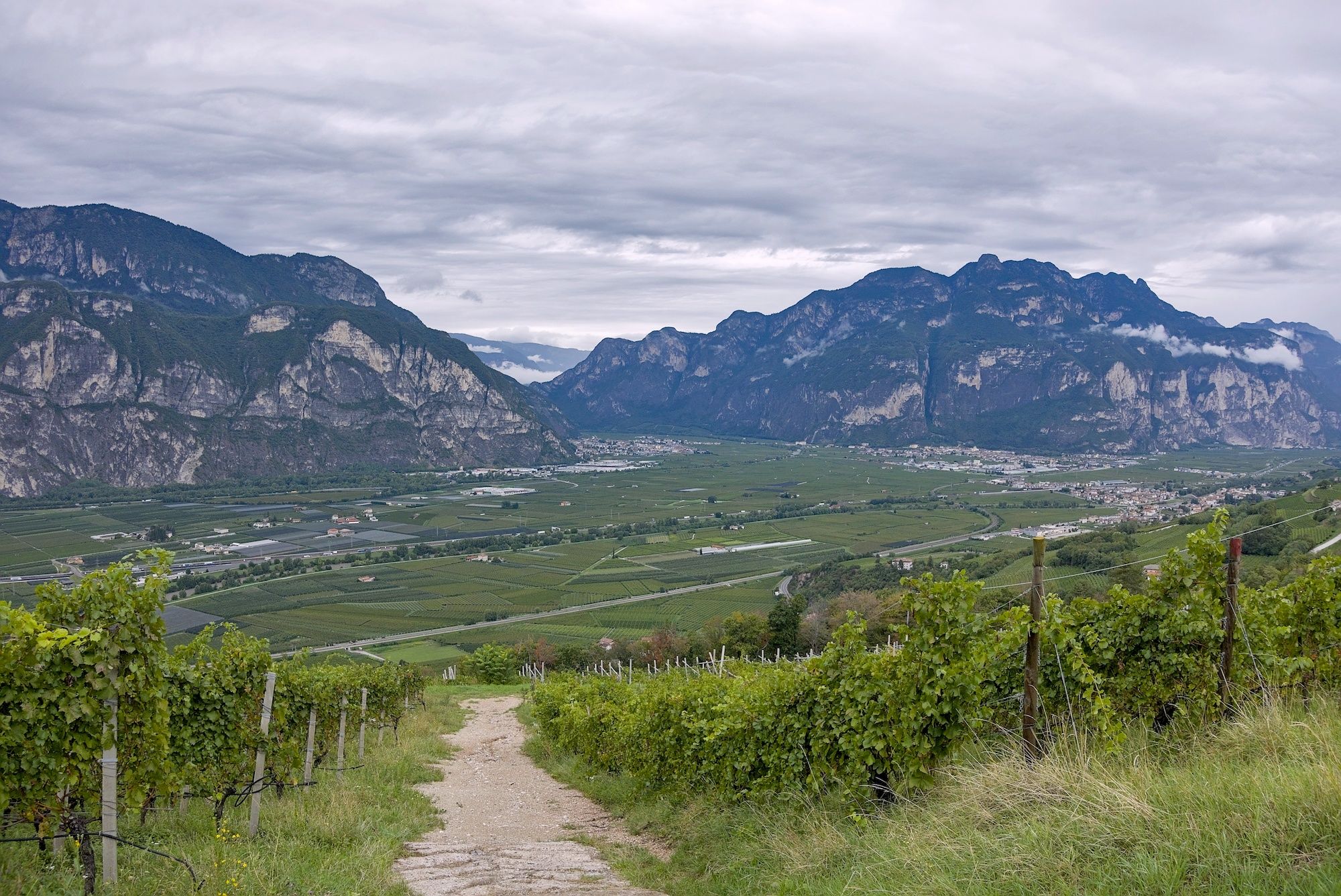 Herrliche Ausblicke vom Weinhang ins Etschtal bei Maso Spiazzol