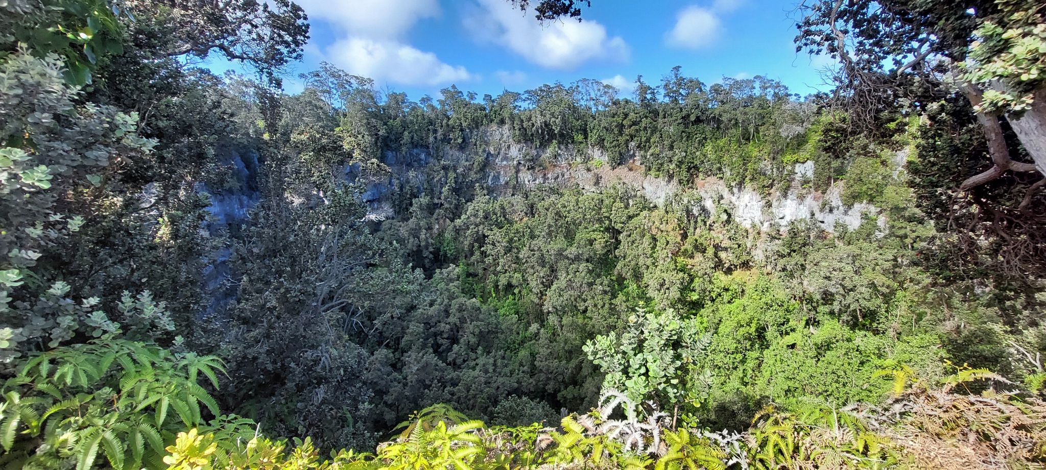 Lush green forest fills a deep, rocky crater under a bright blue sky. - Glover Trail Loop — Kahuku Unit