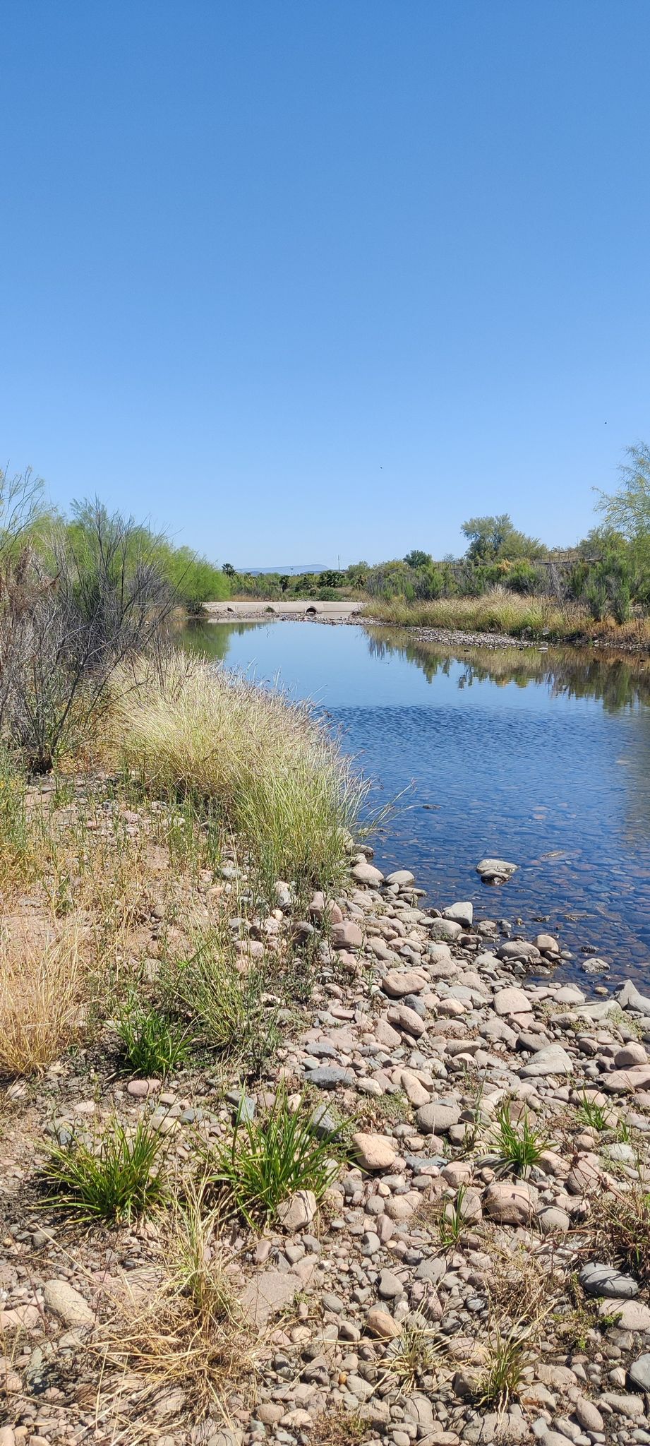 A clear river flows past a rocky bank with green vegetation under a blue sky. - Rio Vista Community Park – Arizona Canal Trail loop from Youngtown
