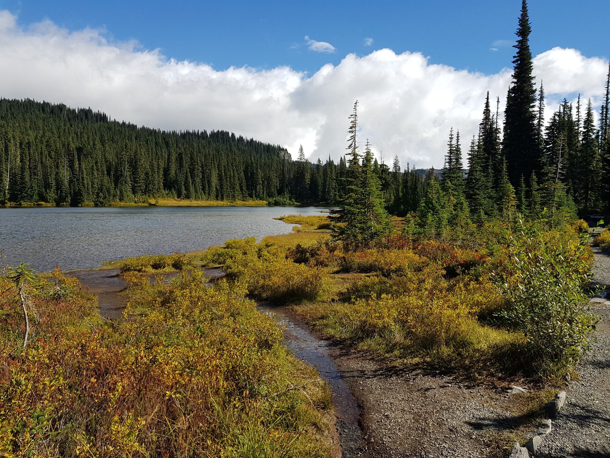 Lake surrounded by evergreen forest and autumn-colored shrubs under a partly cloudy sky. - Castle Traverse