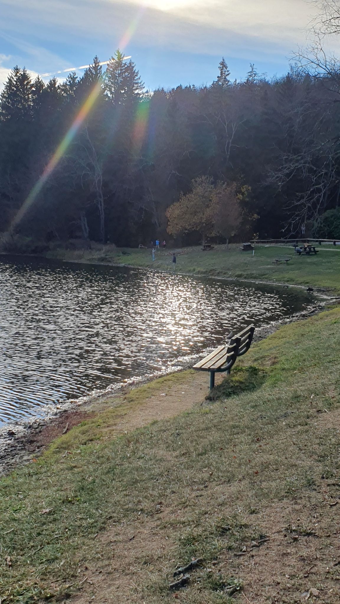 Sunny lake shore with a wooden bench, sun reflecting off rippling water. - Accessible path loop from Luxor