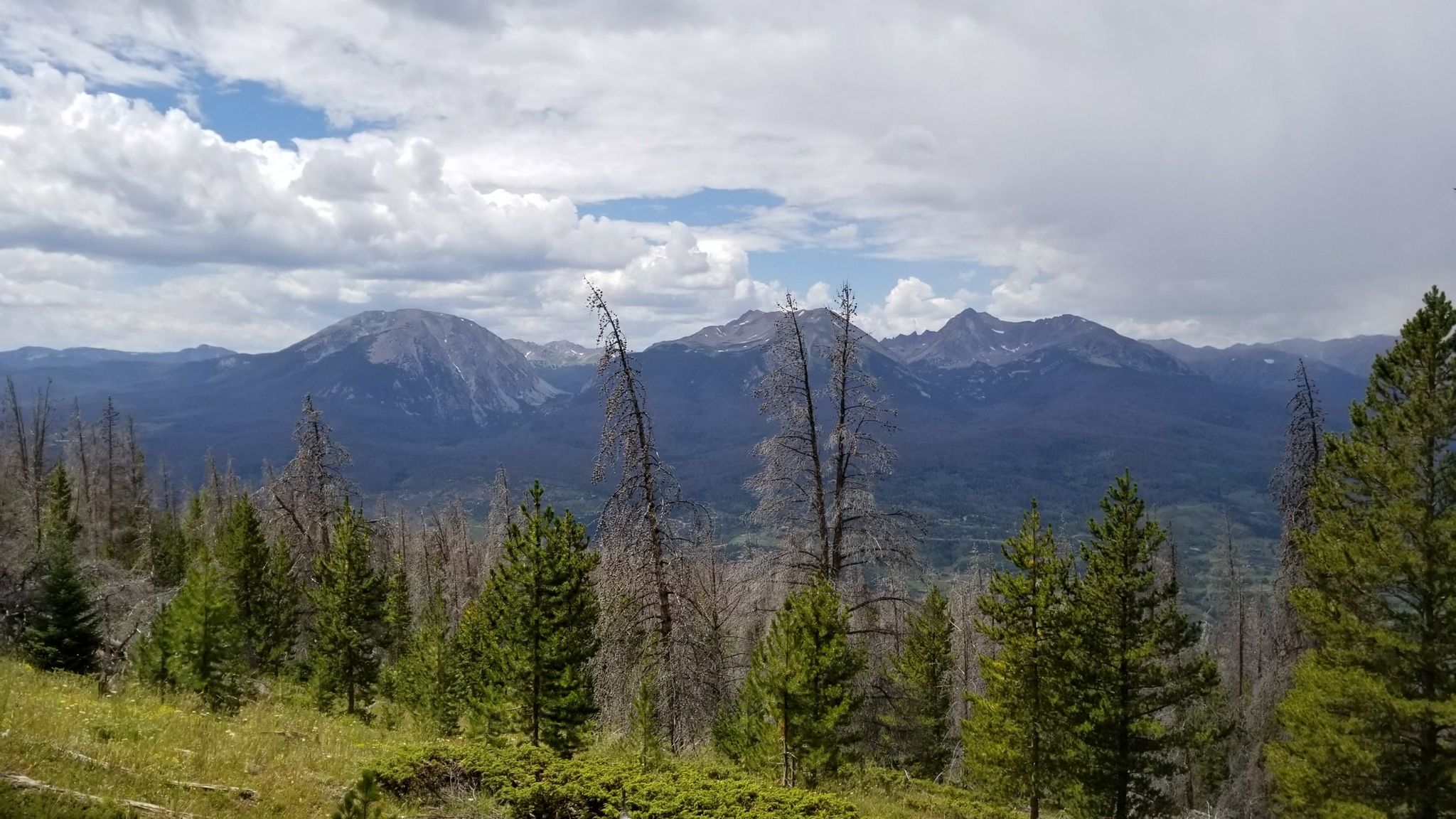 Mountain range with evergreen and dead trees under a cloudy sky. - Ptarmigan Loop Trail