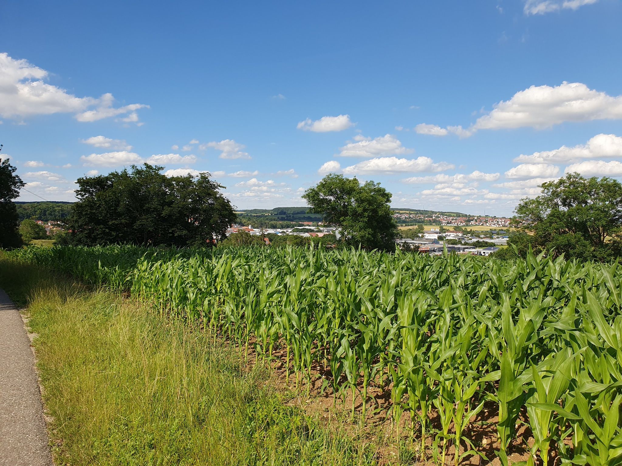 Rückblick nach Giengen