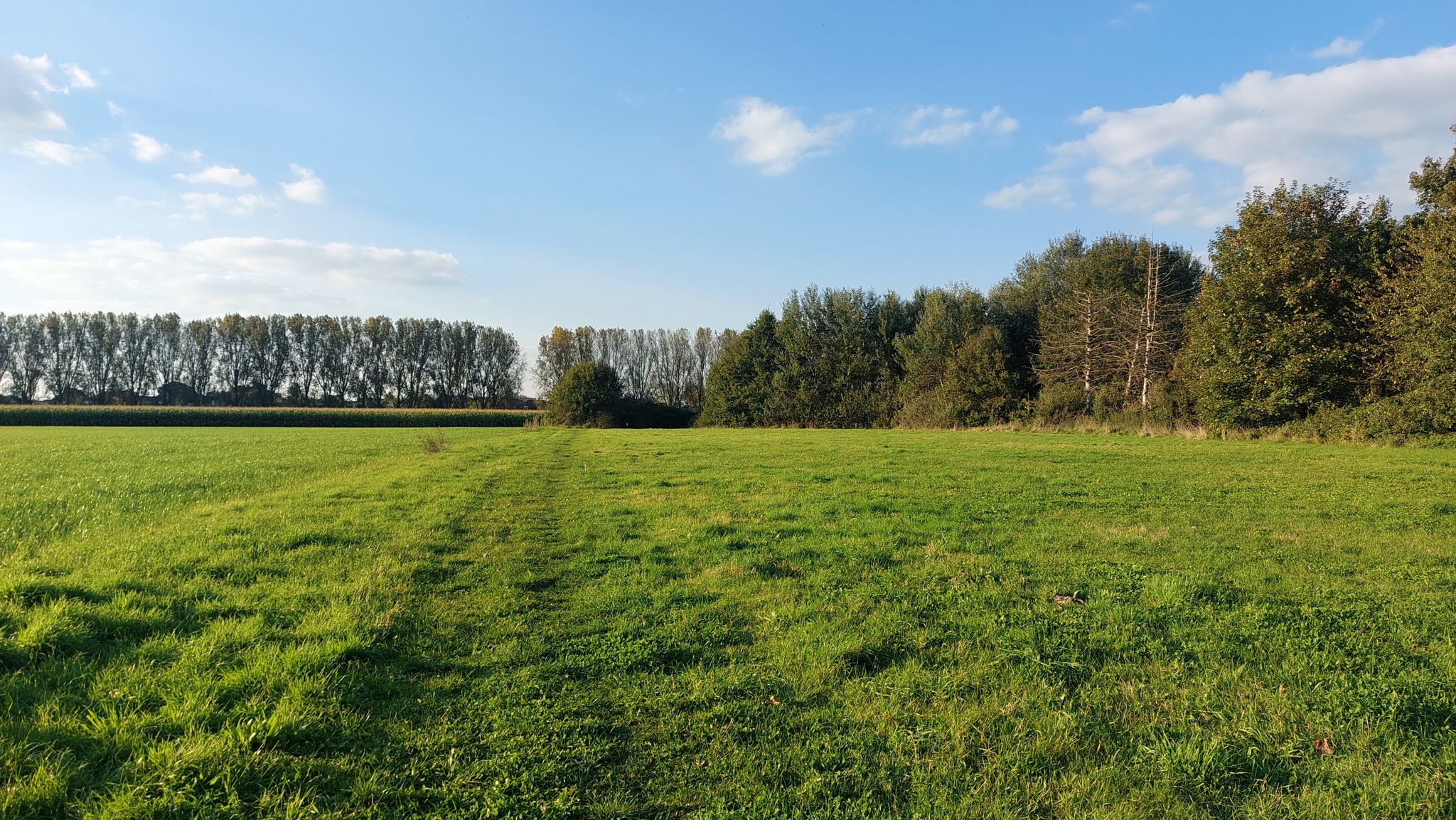 Wandelpad naar Konijnebos