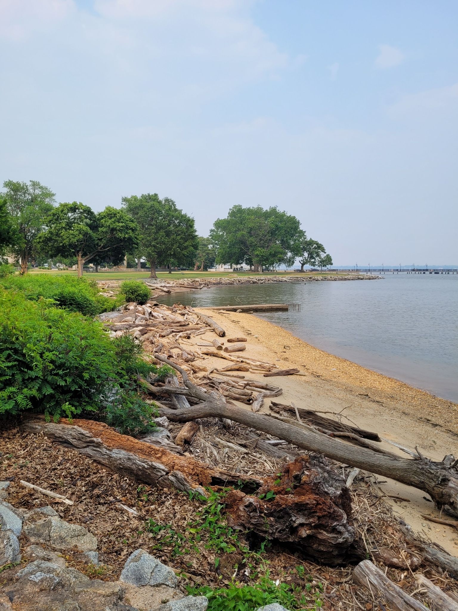 A sandy beach covered in driftwood, calm water, green trees, and an overcast sky. - Battery Park Trail