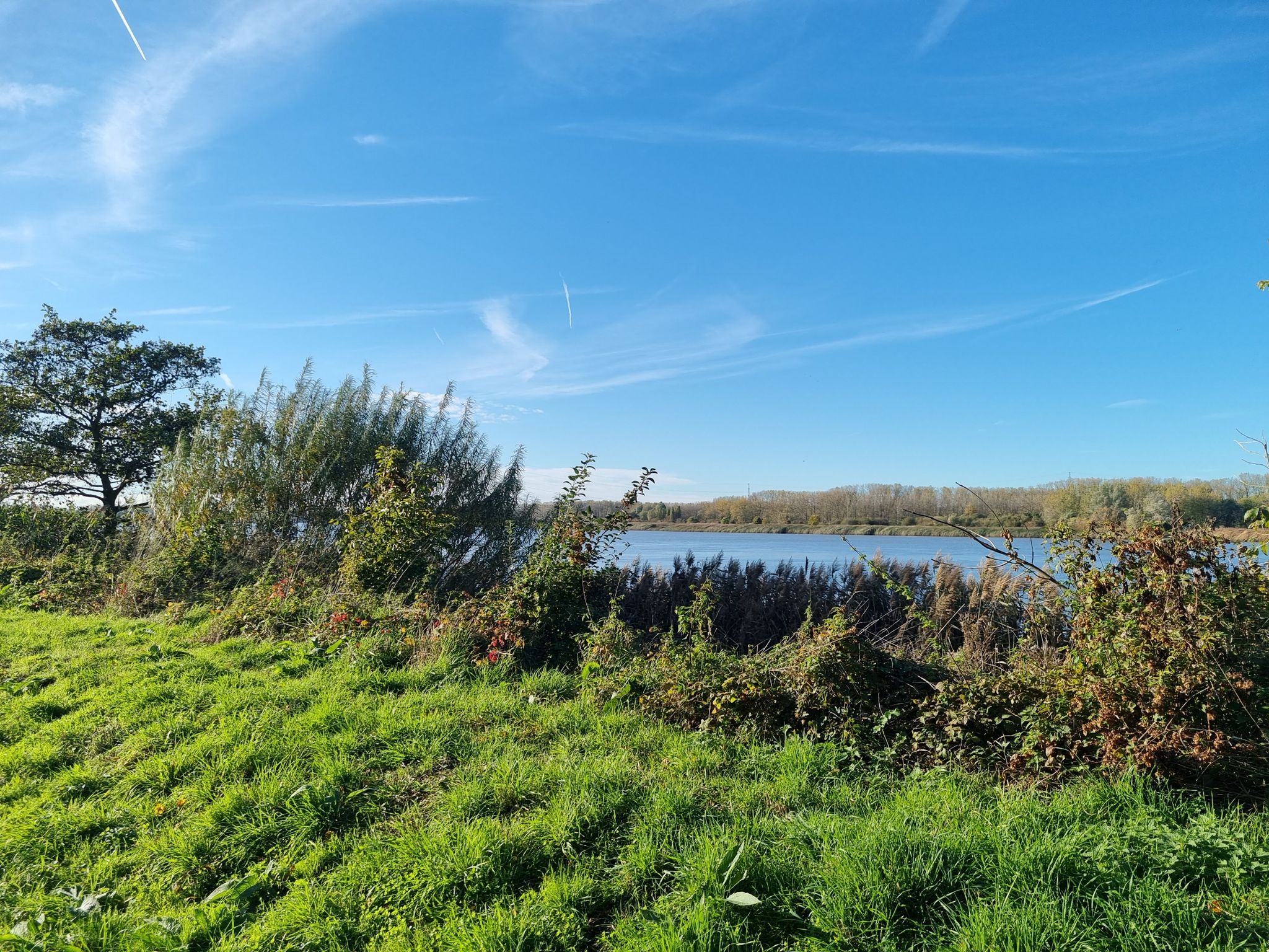 Schelde
