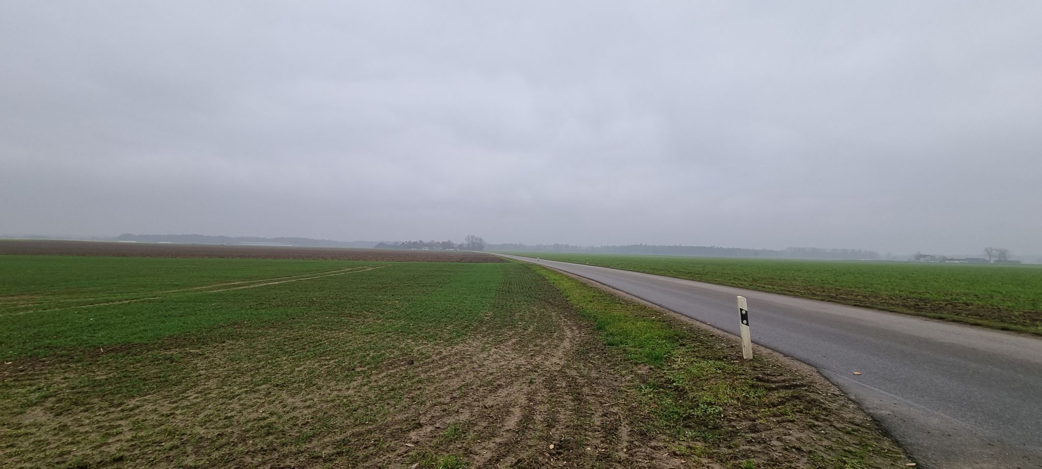 Blick nach Maiszant im Nebel