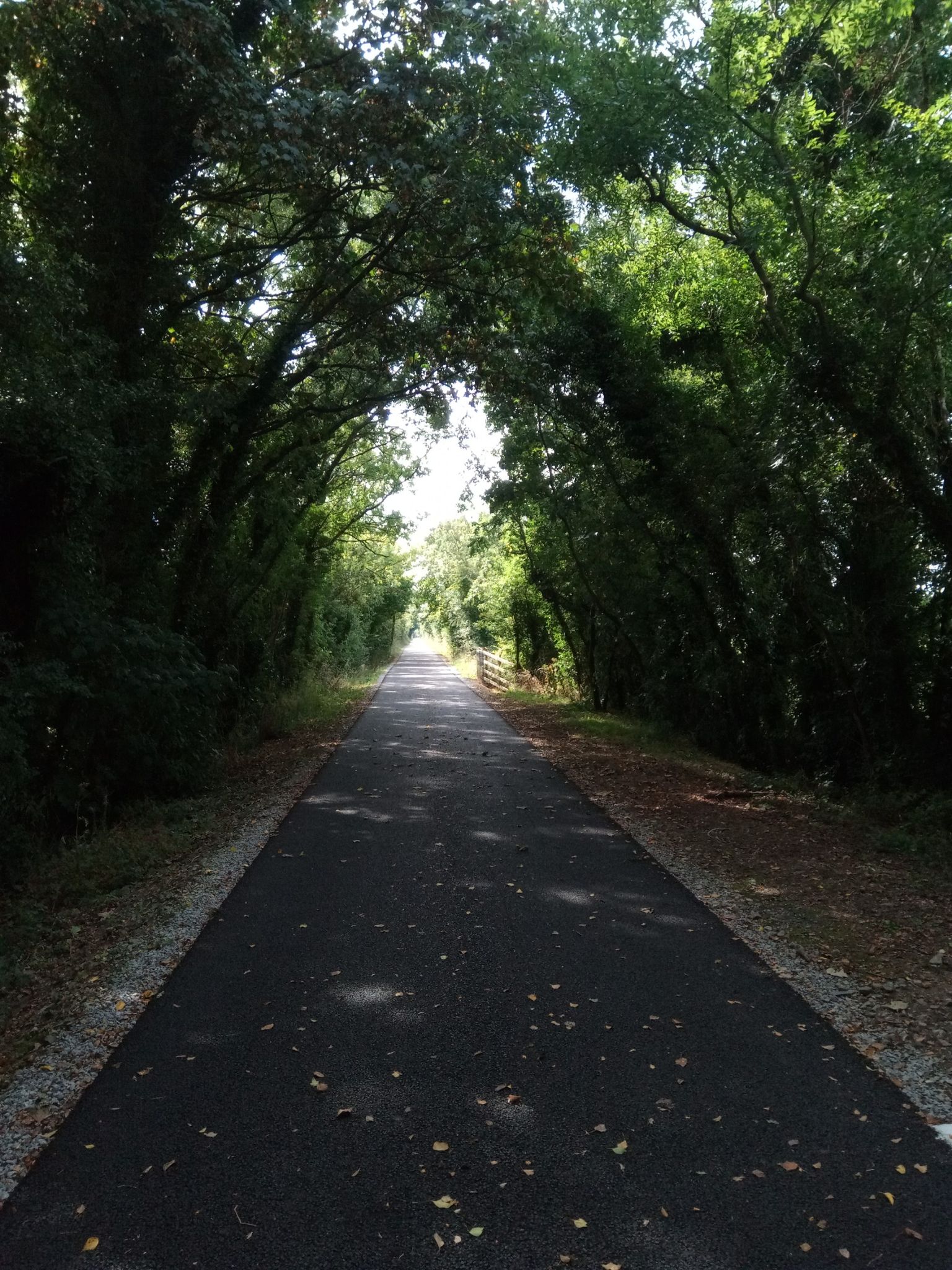 Lovely cycle track
