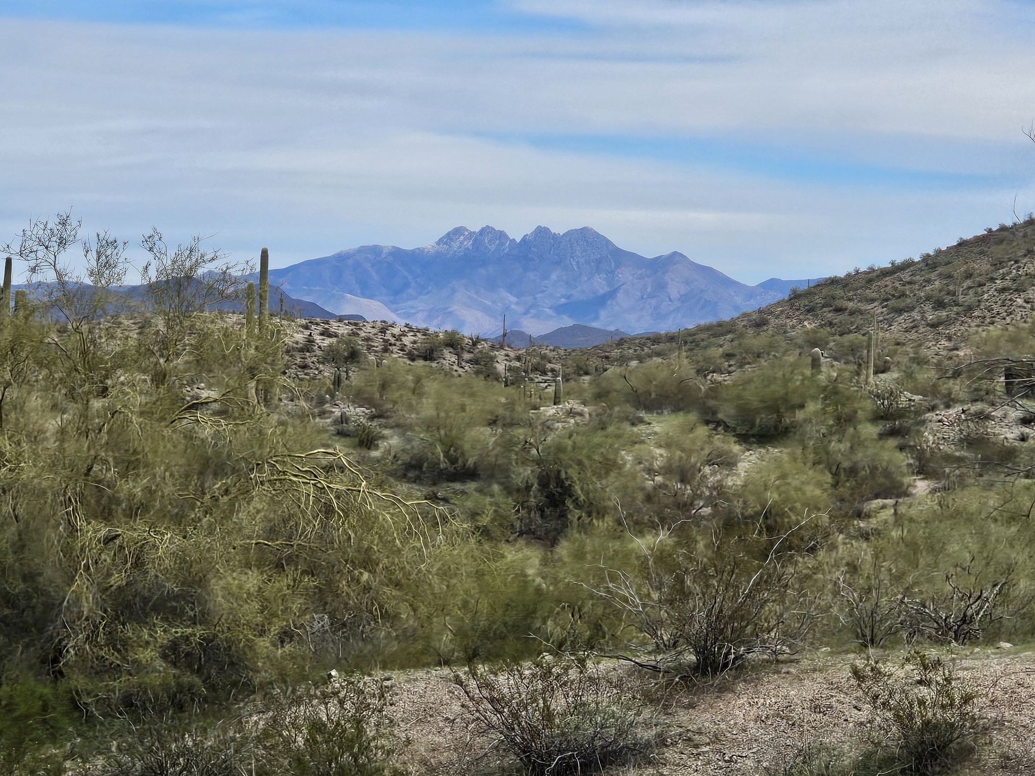 Green desert scrub leads to a distant, majestic blue mountain range. - Maricopa Trail in Tonto National Forest loop from Granite Reef Dam