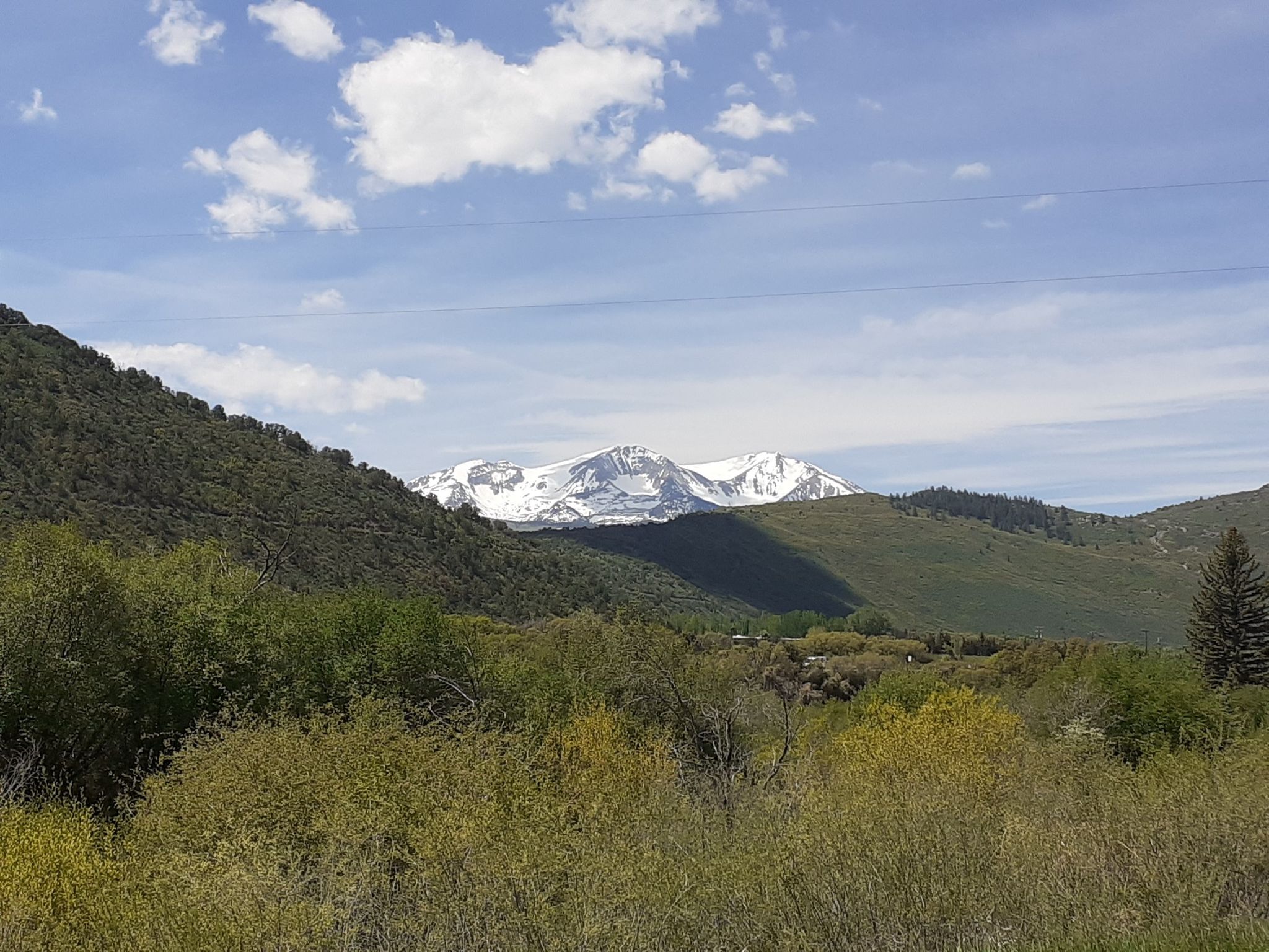 Distant snow-capped mountains rise above green, forested hills under a blue sky. - Rio Grande Trail – Rio Grande Trail loop from Mulford