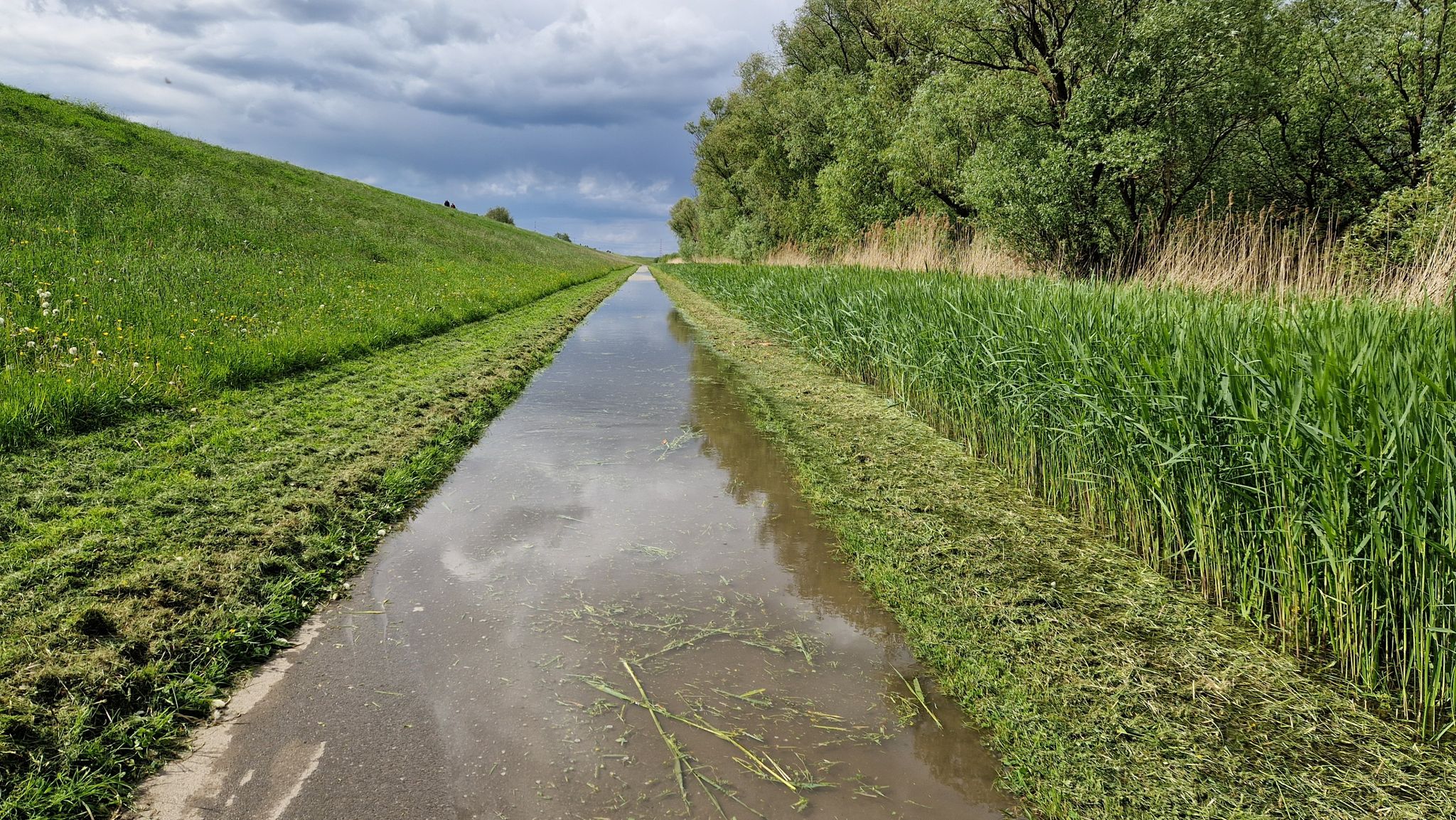 Radweg unter Wasser...