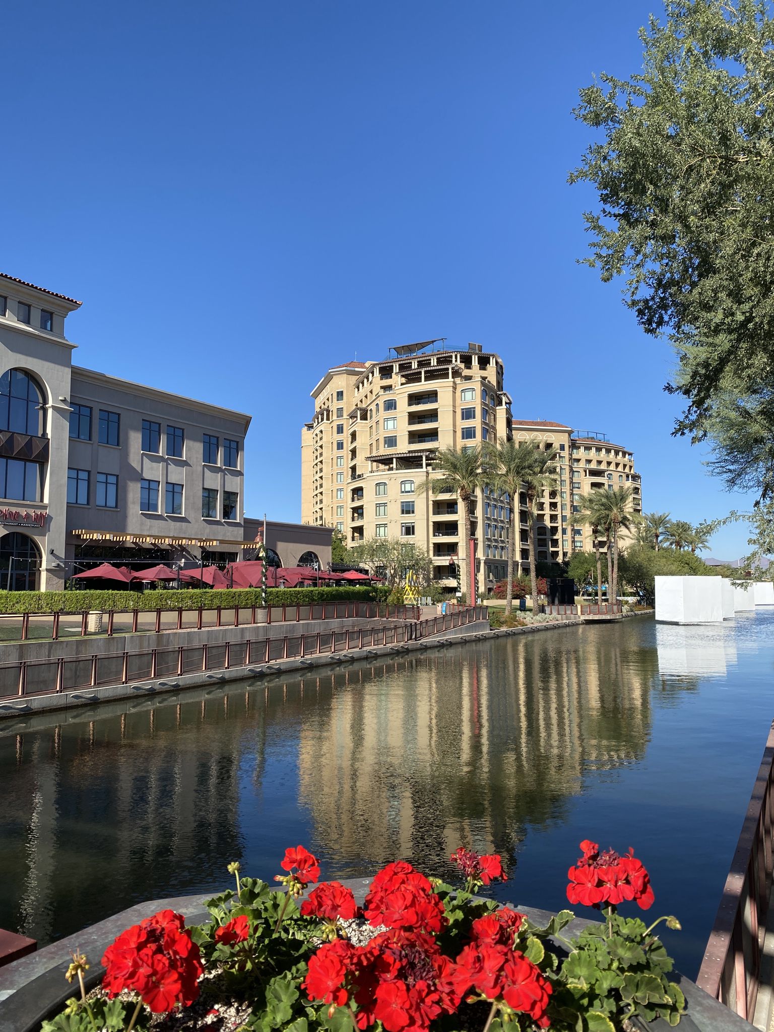 Red flowers in foreground, canal reflecting buildings and trees, under clear sky. - Scenic view of Camelback – Sun Circle Trail Canal Path loop from McCormick Stillman Railroad Park