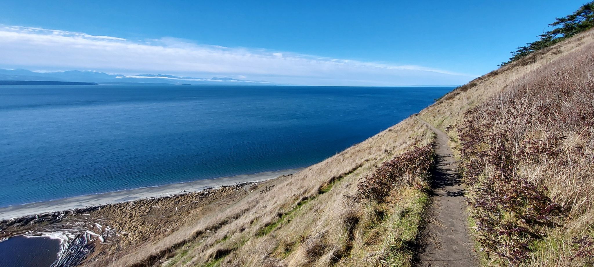 Trail on a grassy hillside overlooking a blue sea under a clear sky. - Bluff Overlook – Ebey's Landing State Park loop from Island