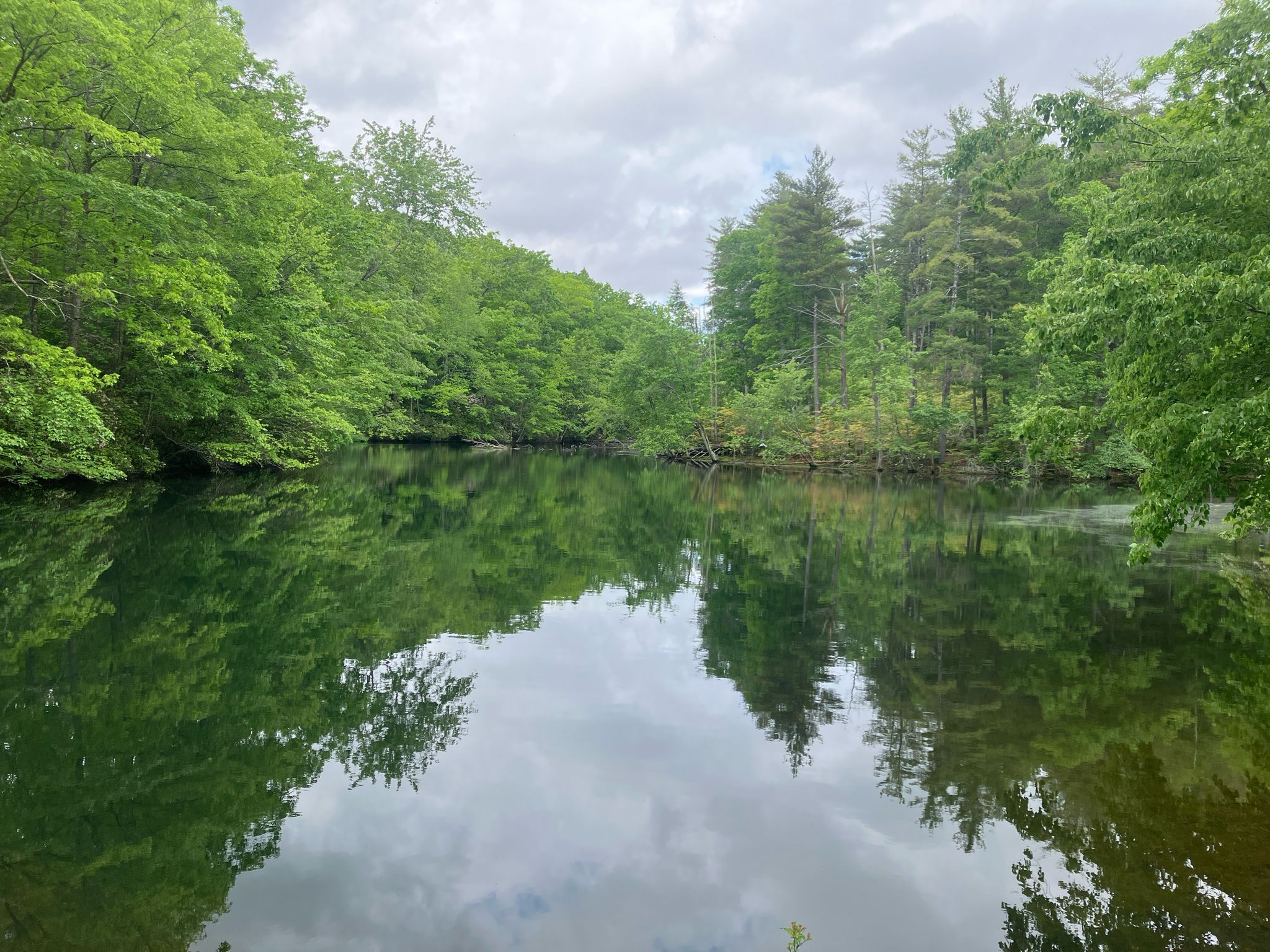 Calm lake reflecting green trees and cloudy sky on an overcast day. - Otey View loop from St. Andrew's-Sewanee School